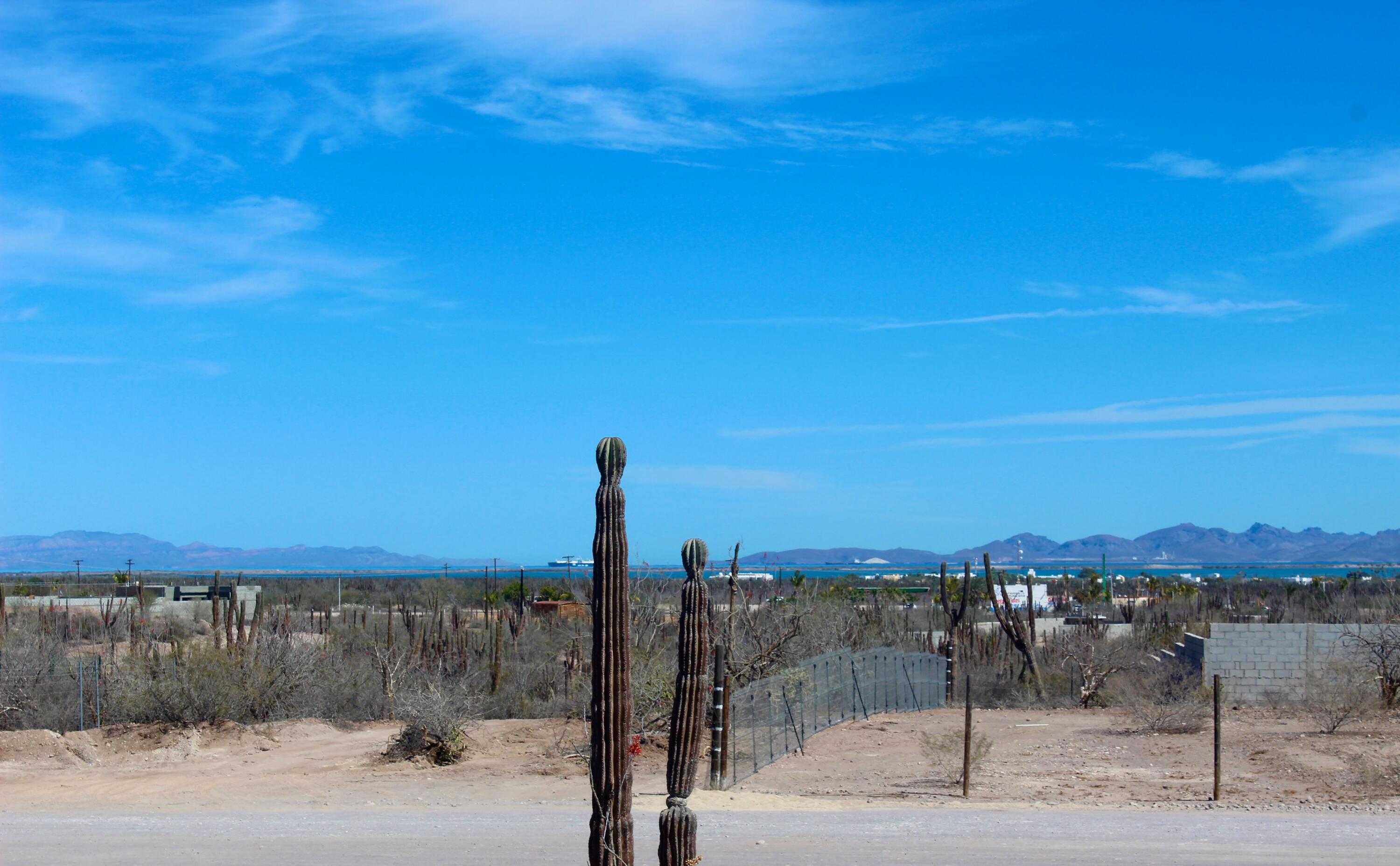 MLS #25-313 image #40