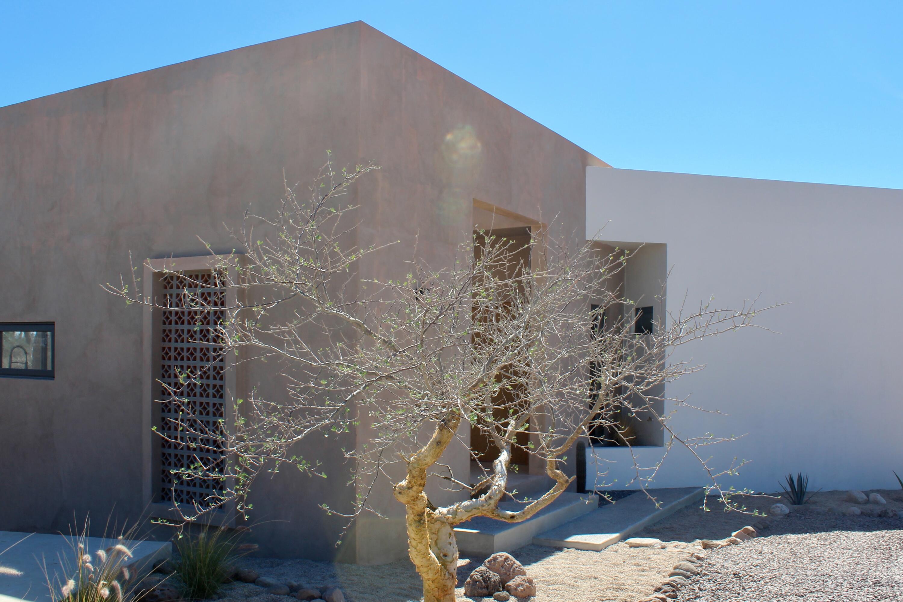 MLS #25-313 image #44