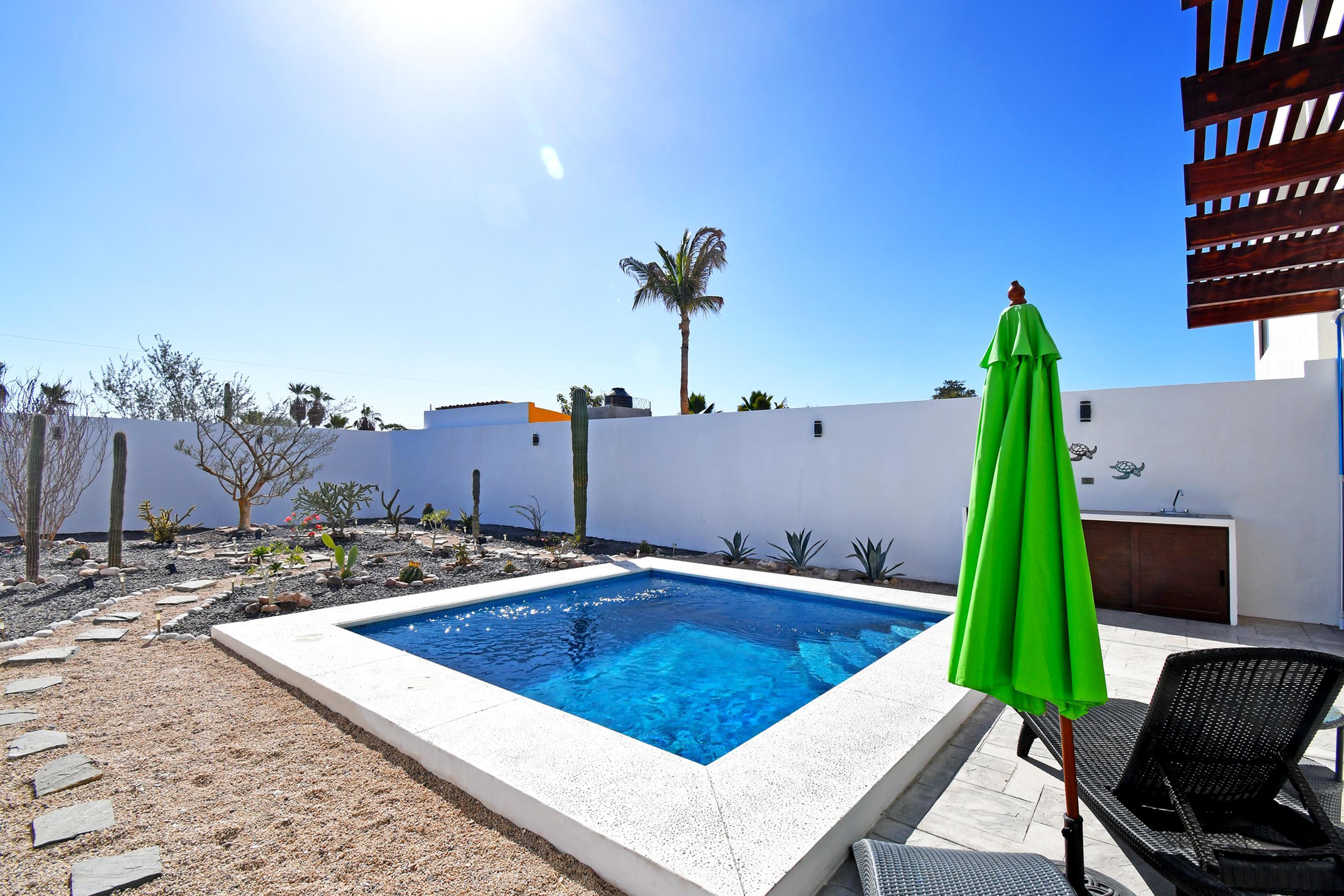 MLS #25-314 image #20