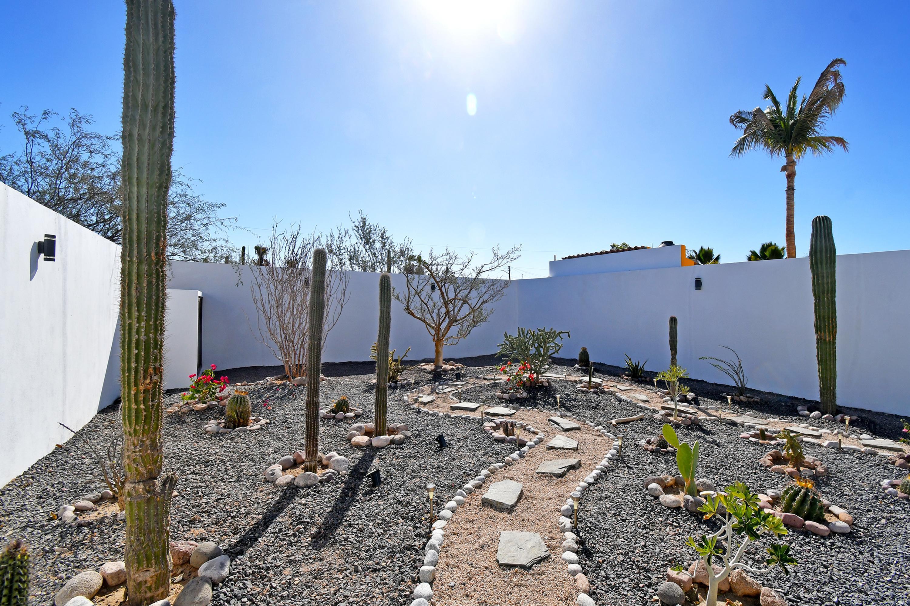 MLS #25-314 image #22