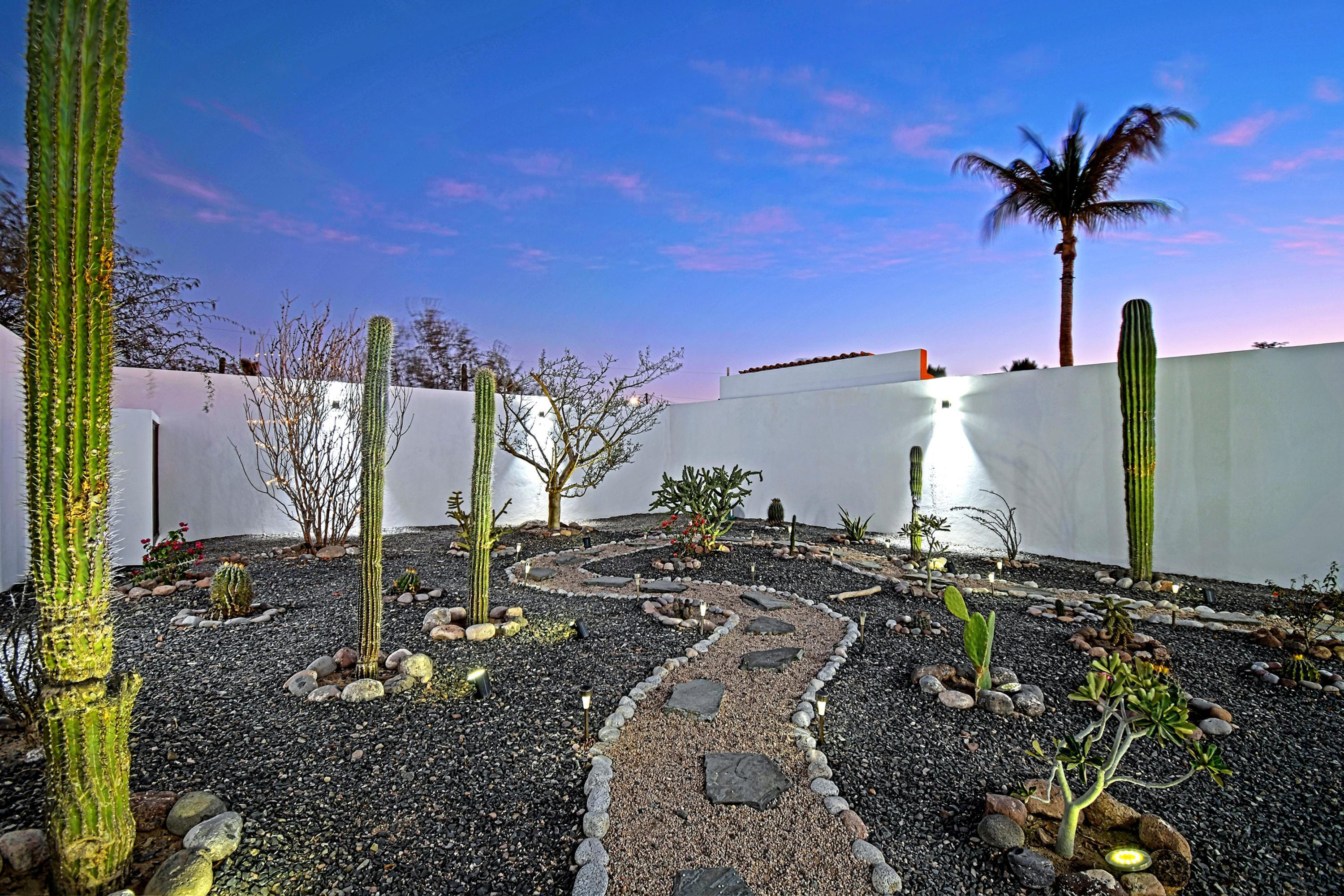 MLS #25-314 image #45