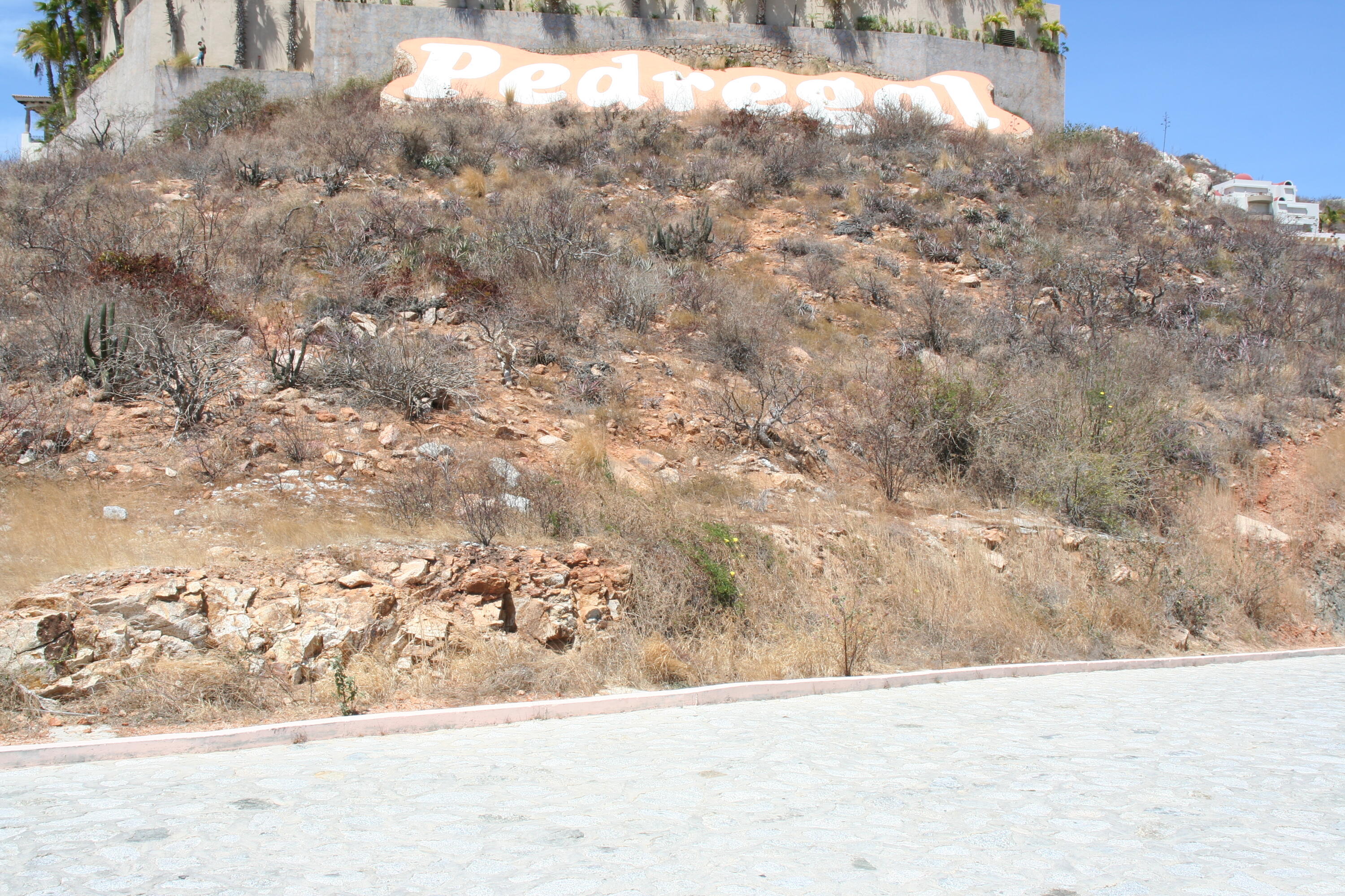 MLS #25-3143 image #3