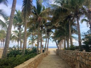 MLS #25-3155 image #10