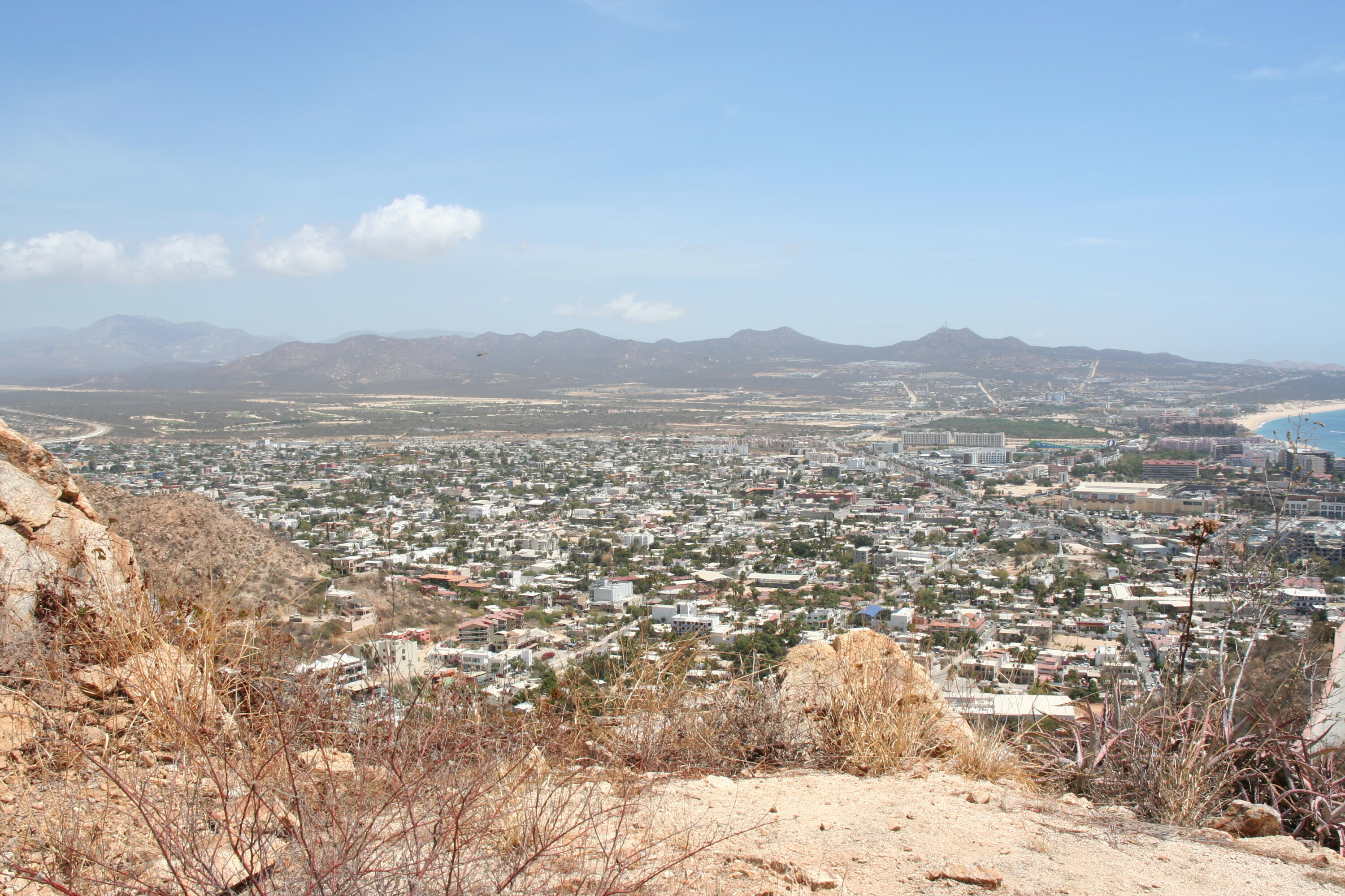 MLS #25-3155 image #8