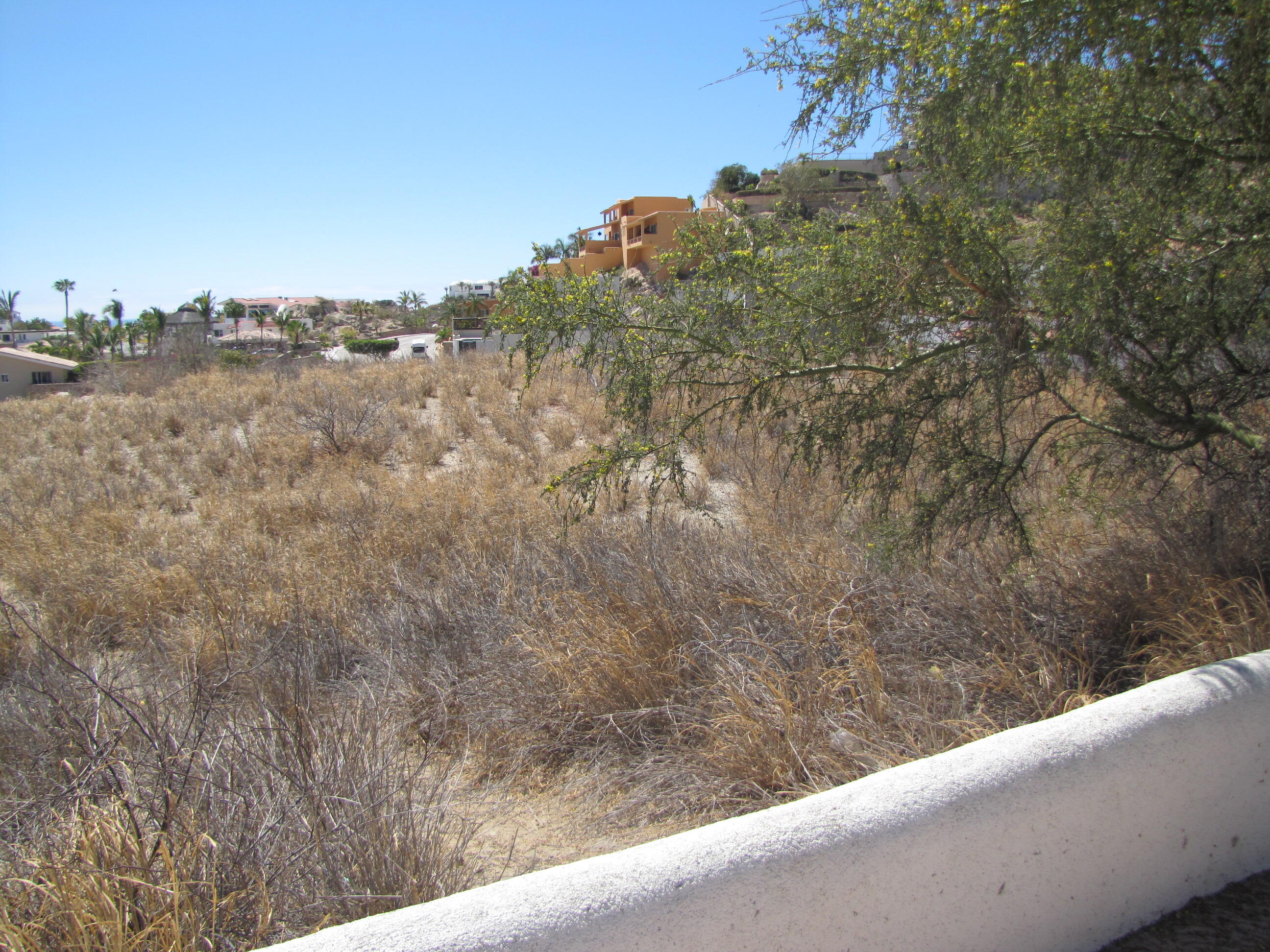 MLS #25-3156 img 2