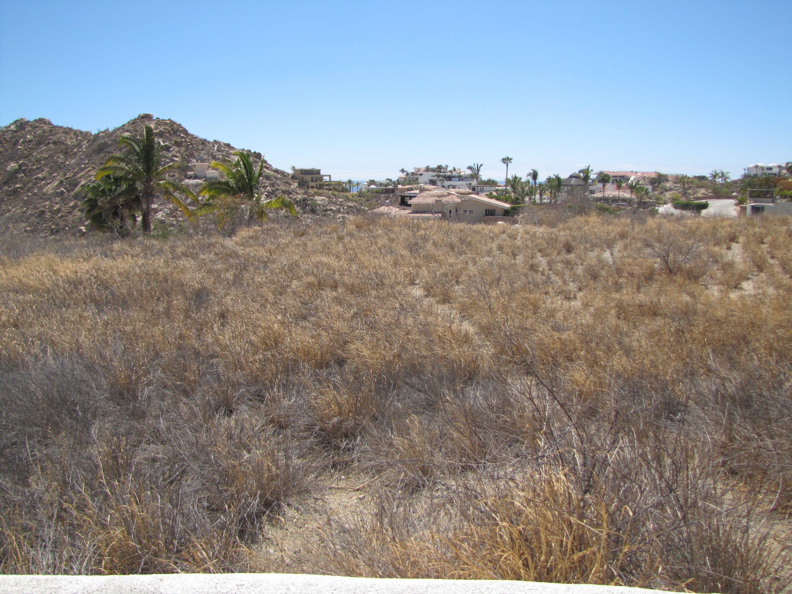 MLS #25-3156 img 3