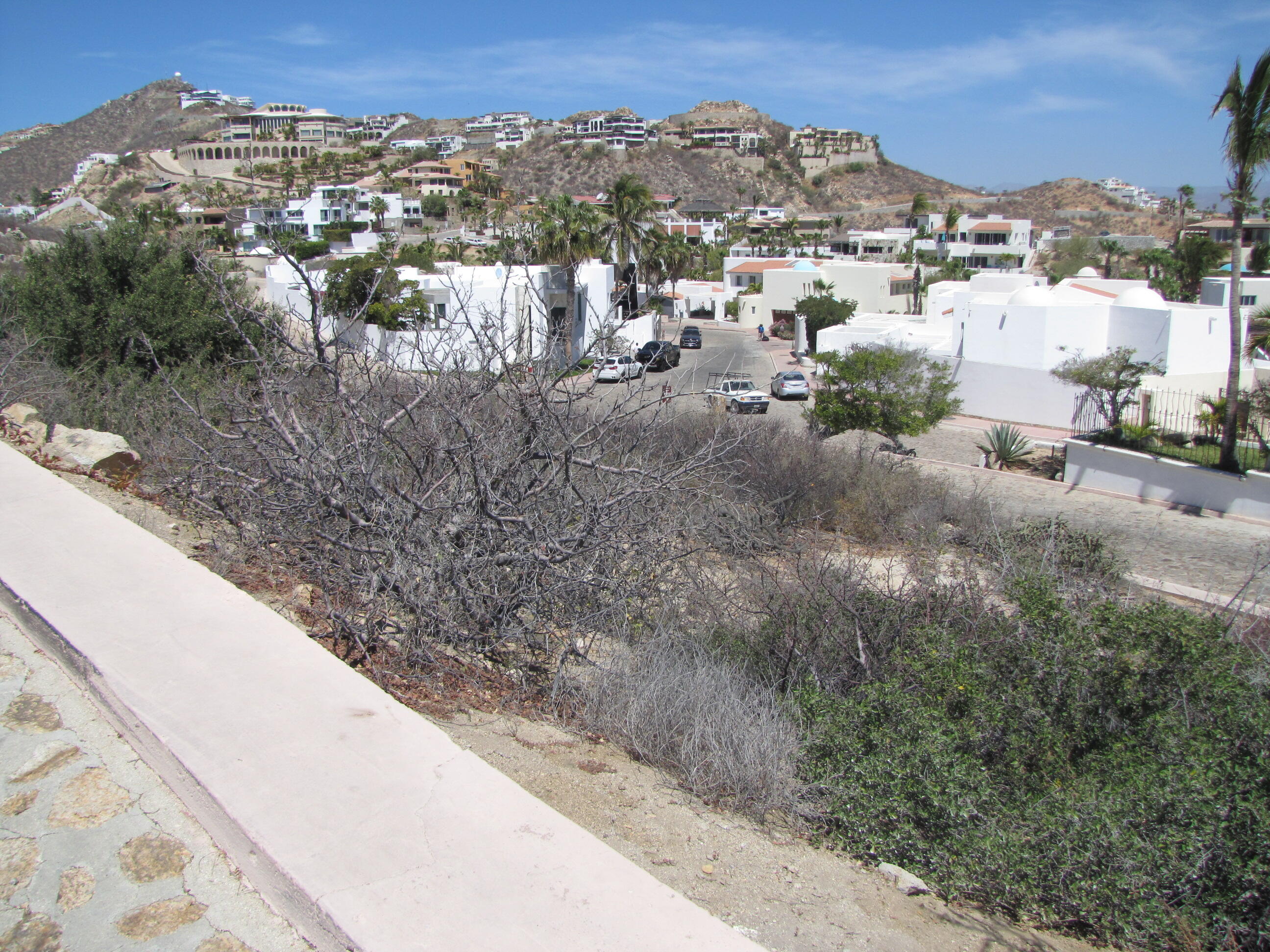 MLS #25-3162 img 1