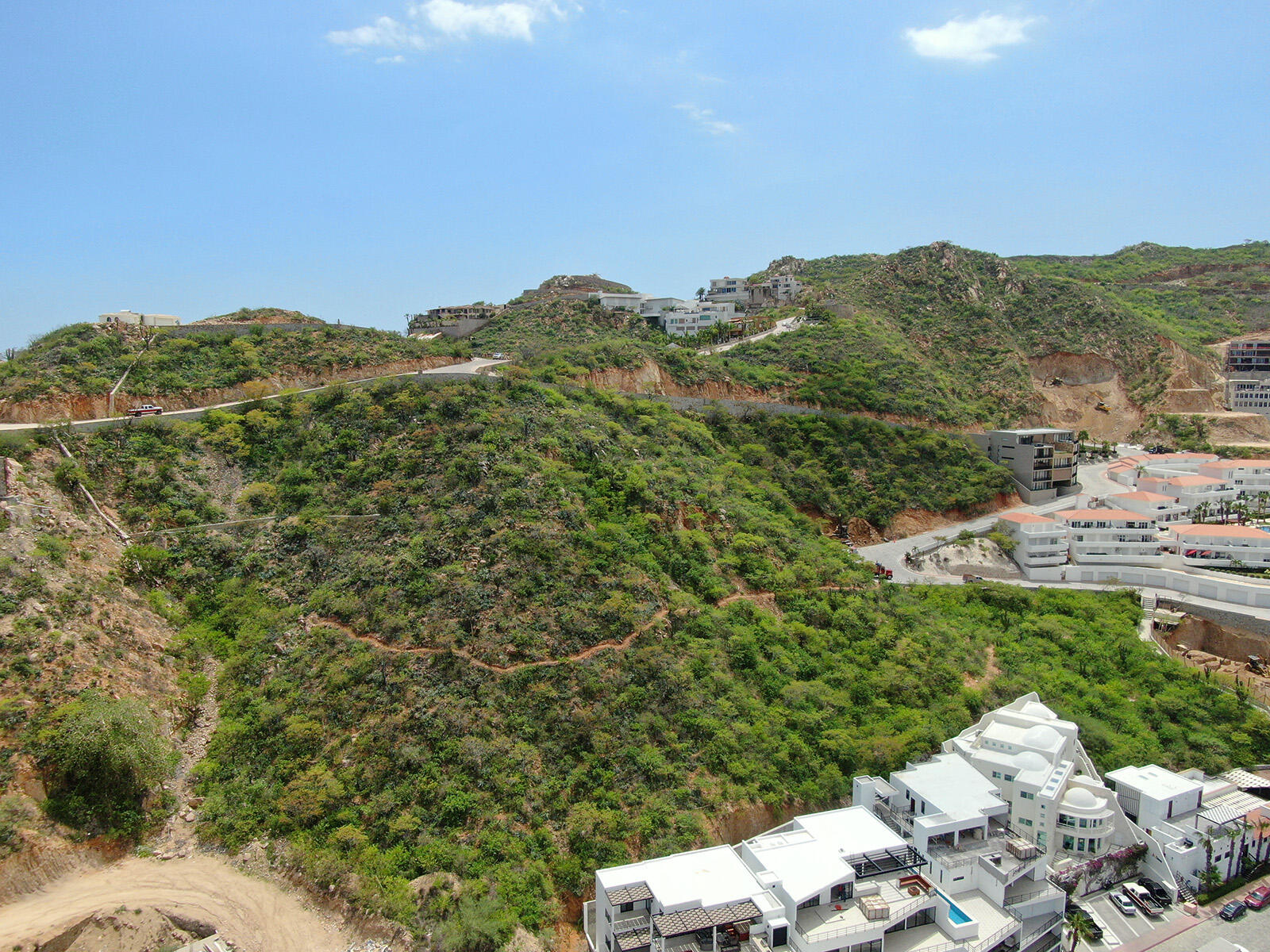 MLS #25-3164 image #5