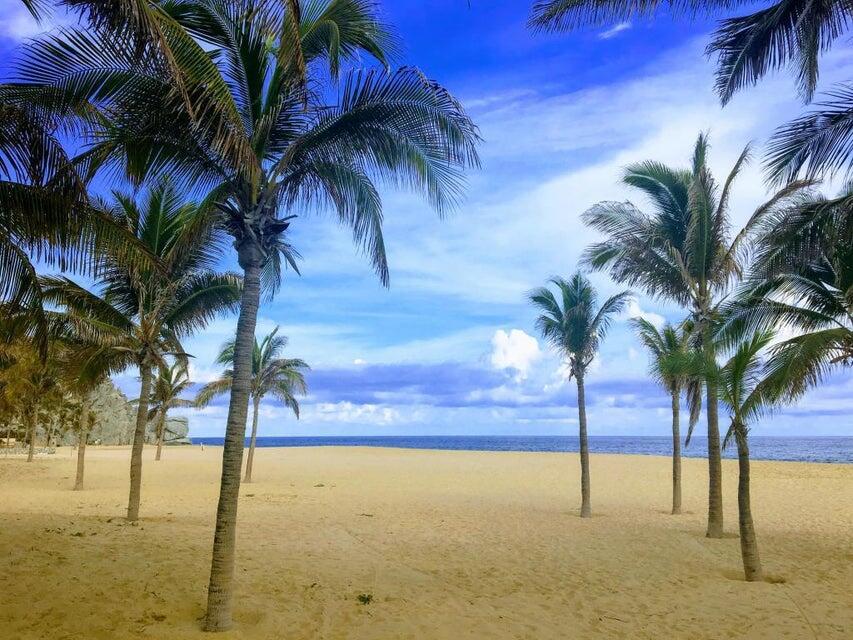 MLS #25-3164 image #9