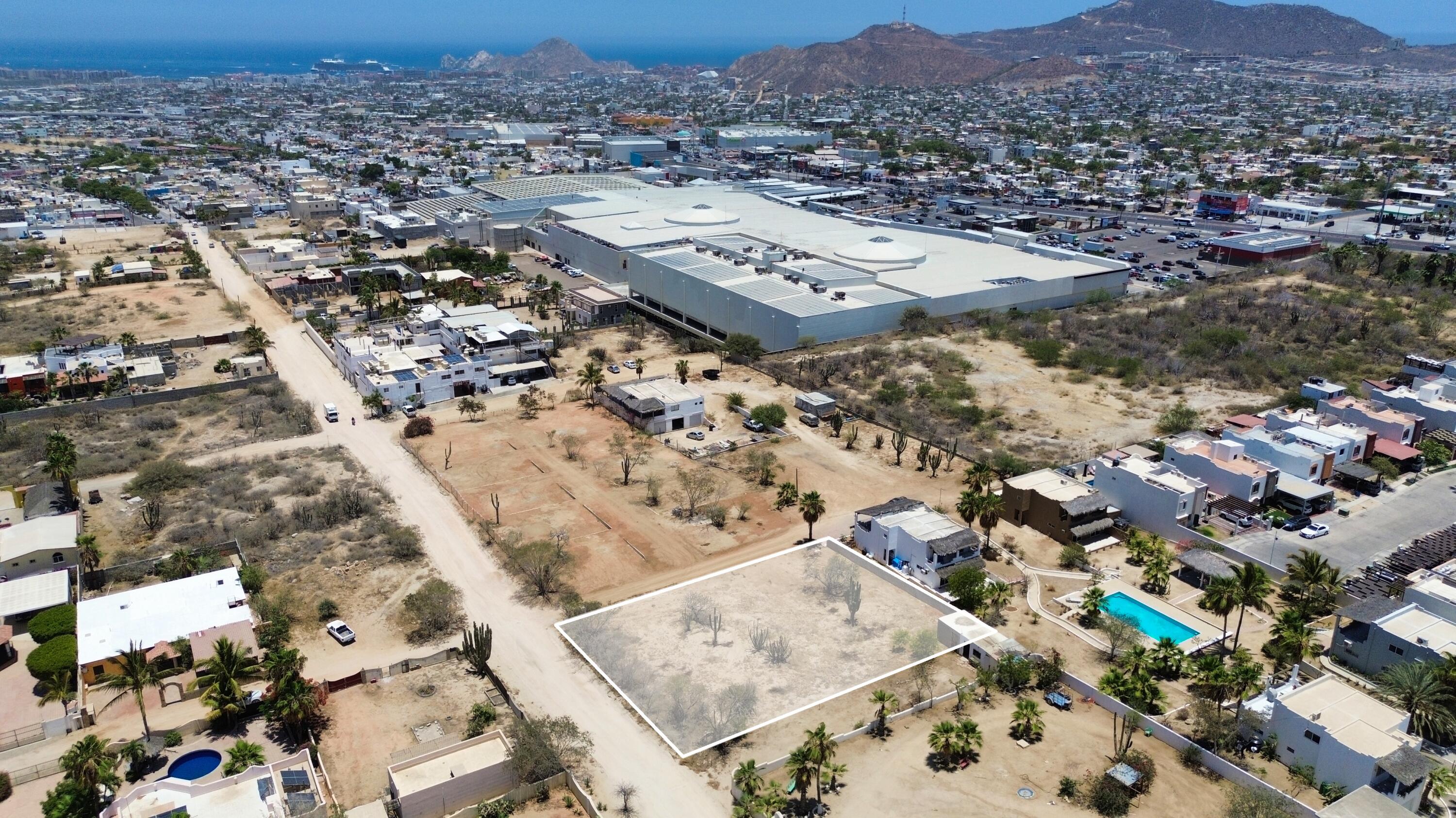 MLS #25-3165 image #3