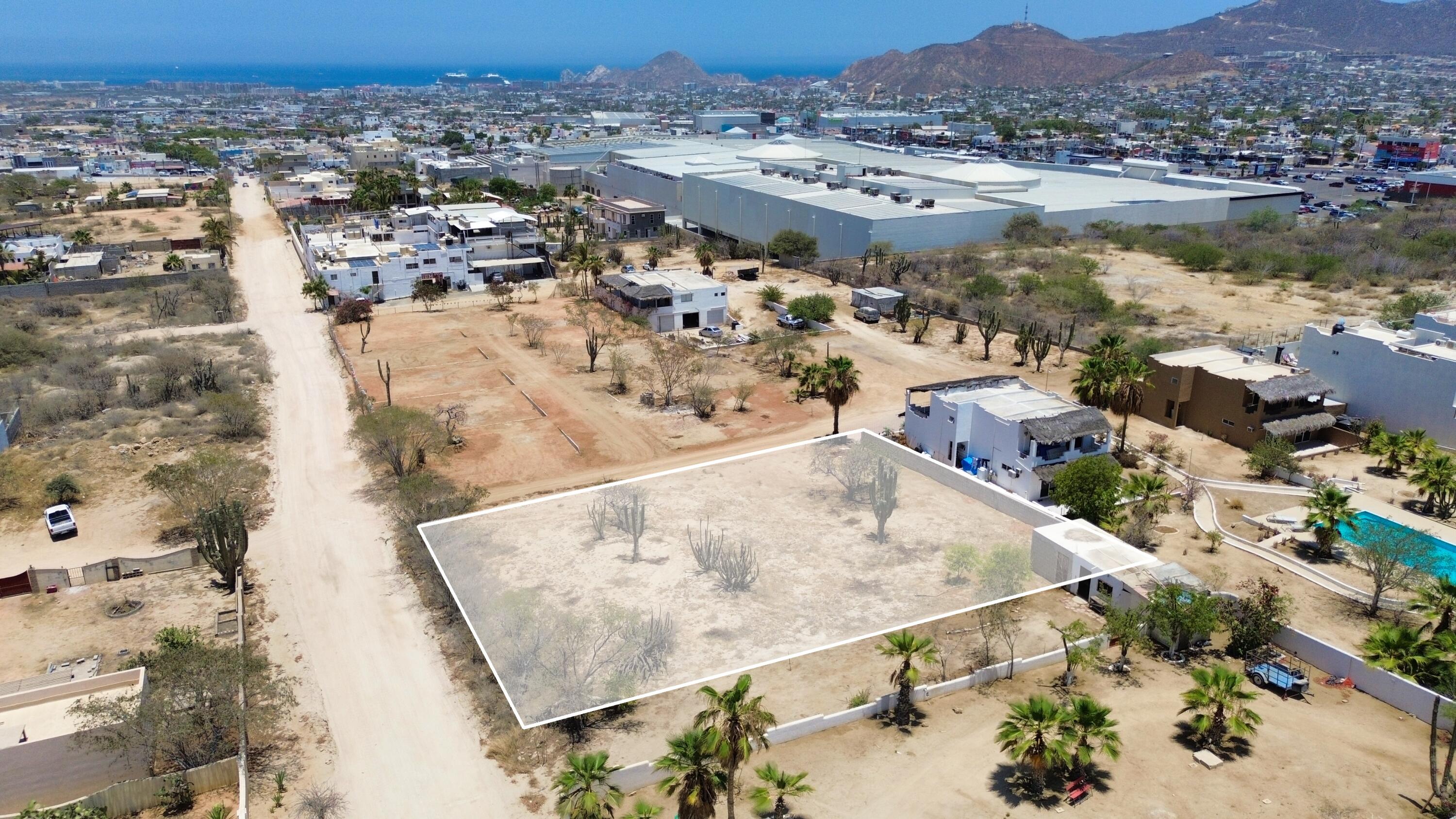 MLS #25-3165 image #6