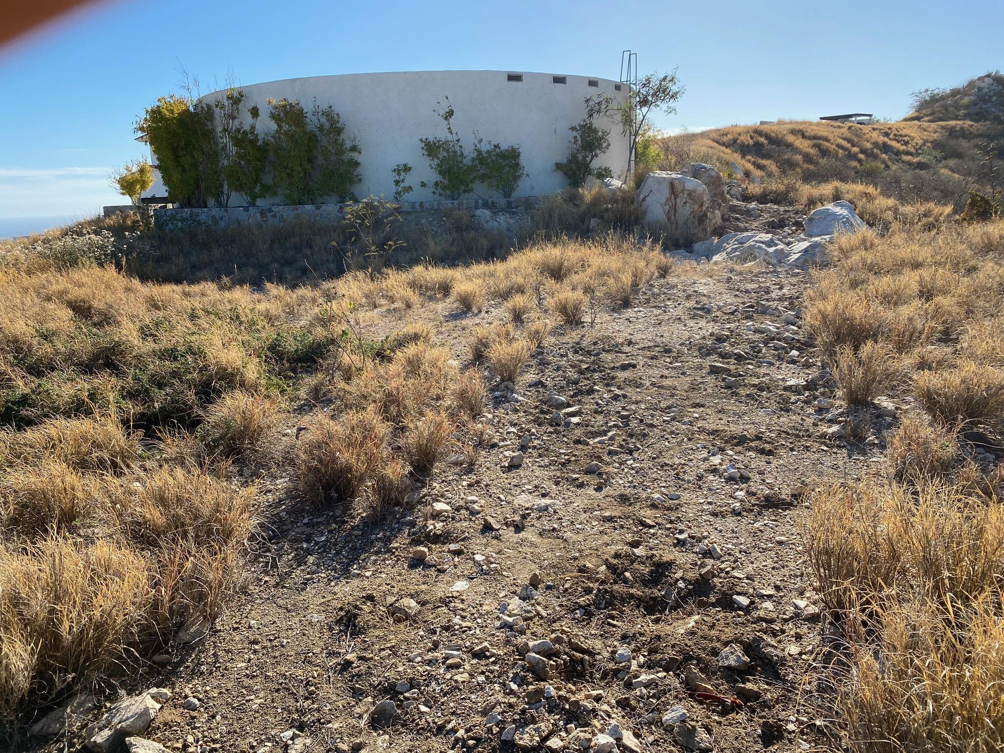 MLS #25-3166 image #8