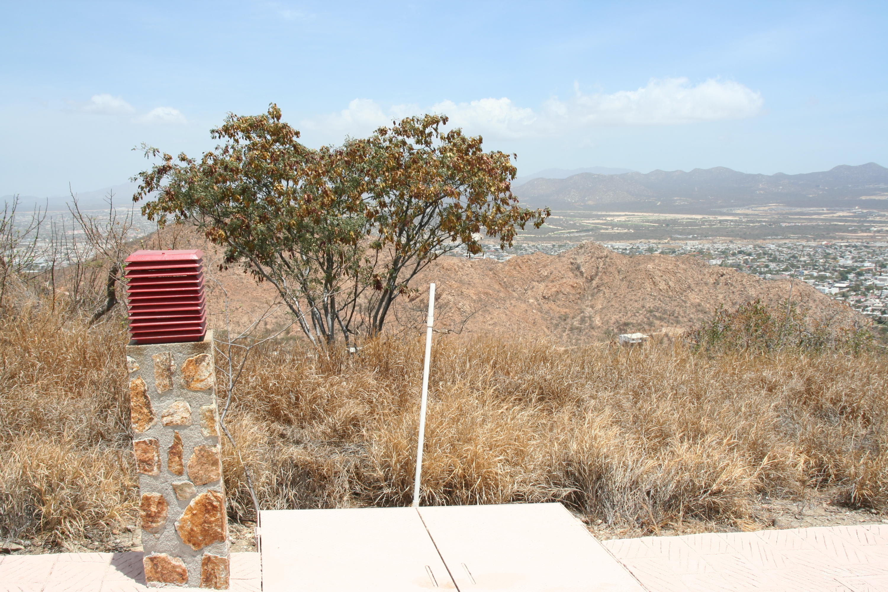 MLS #25-3168 image #2