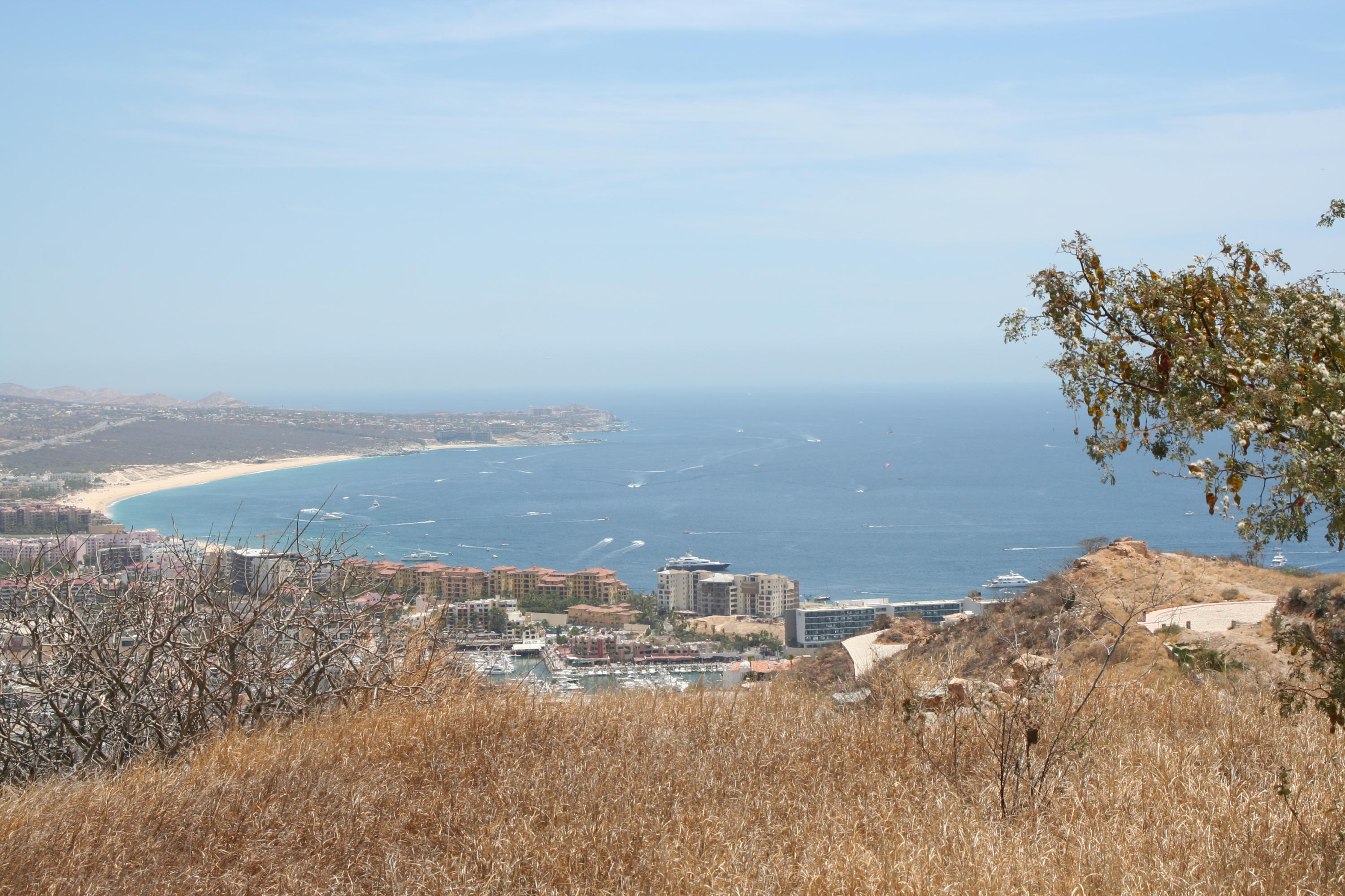 MLS #25-3168 image #8