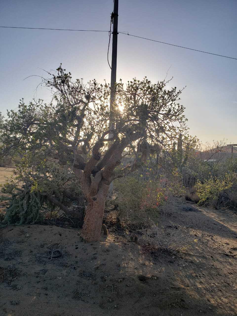 MLS #25-318 img 4