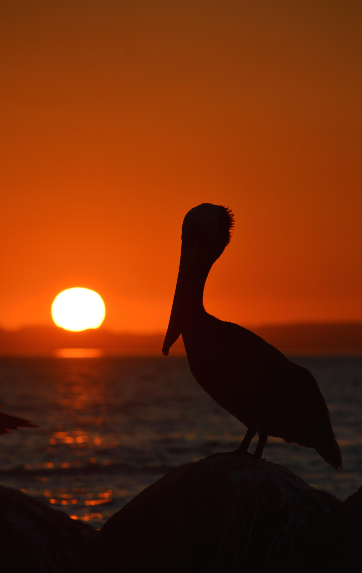 MLS #25-3210 image #57