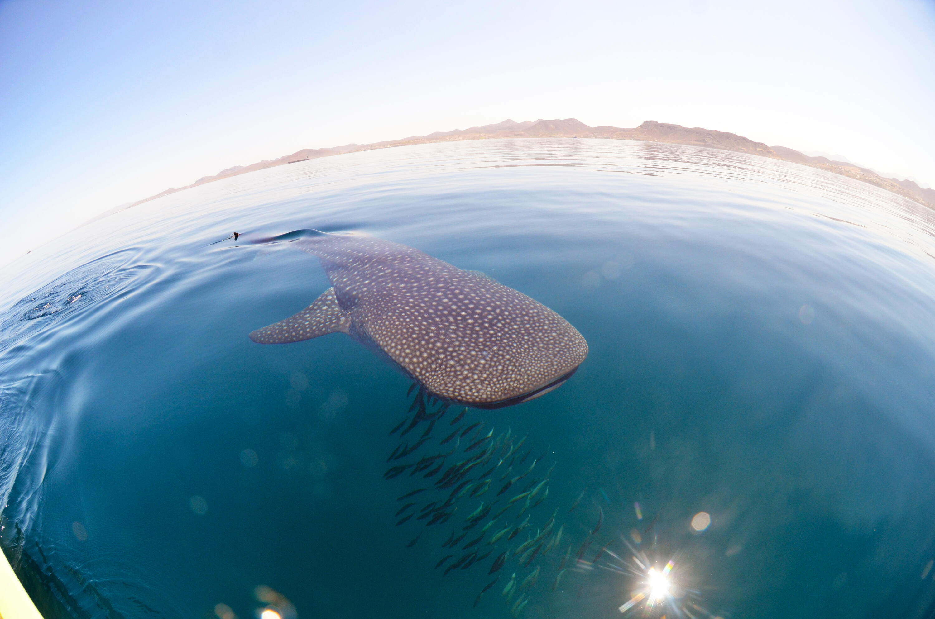 MLS #25-3210 image #58