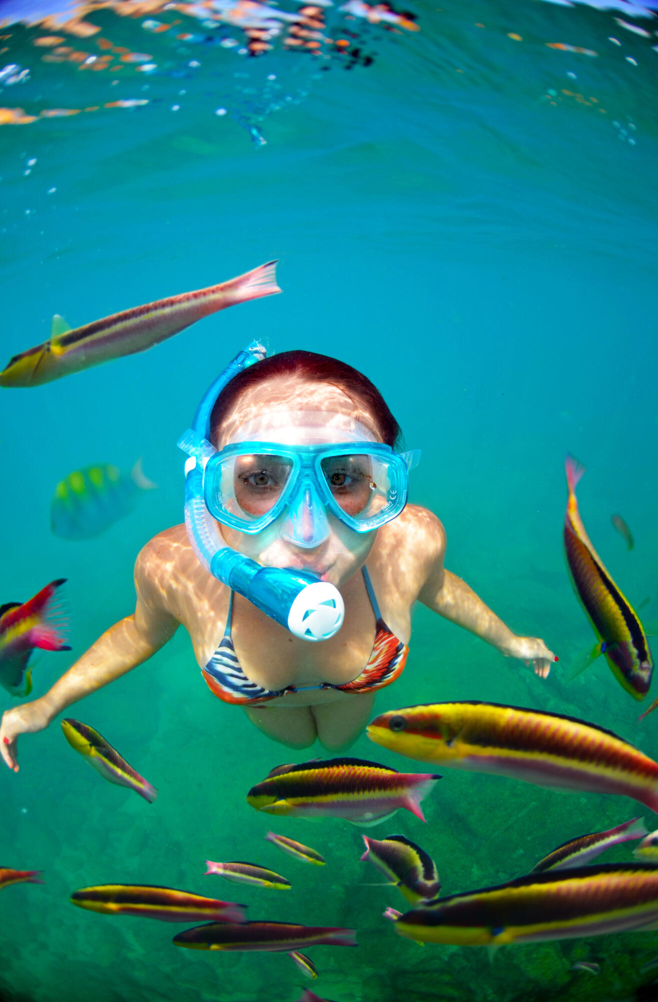 MLS #25-3210 image #59