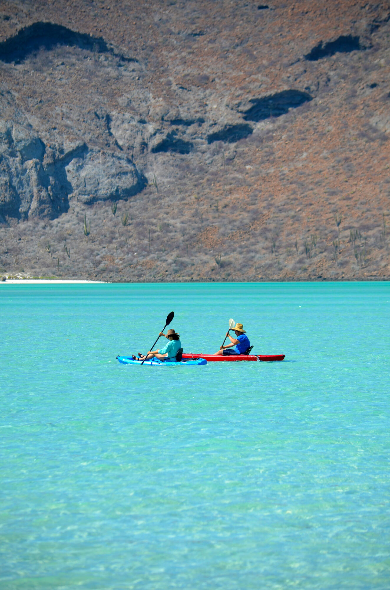 MLS #25-3210 image #61