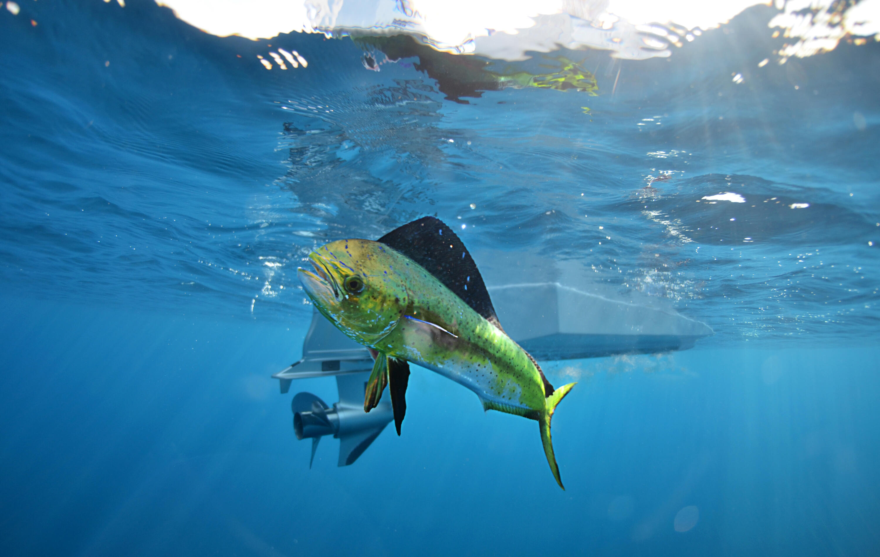 MLS #25-3210 image #62