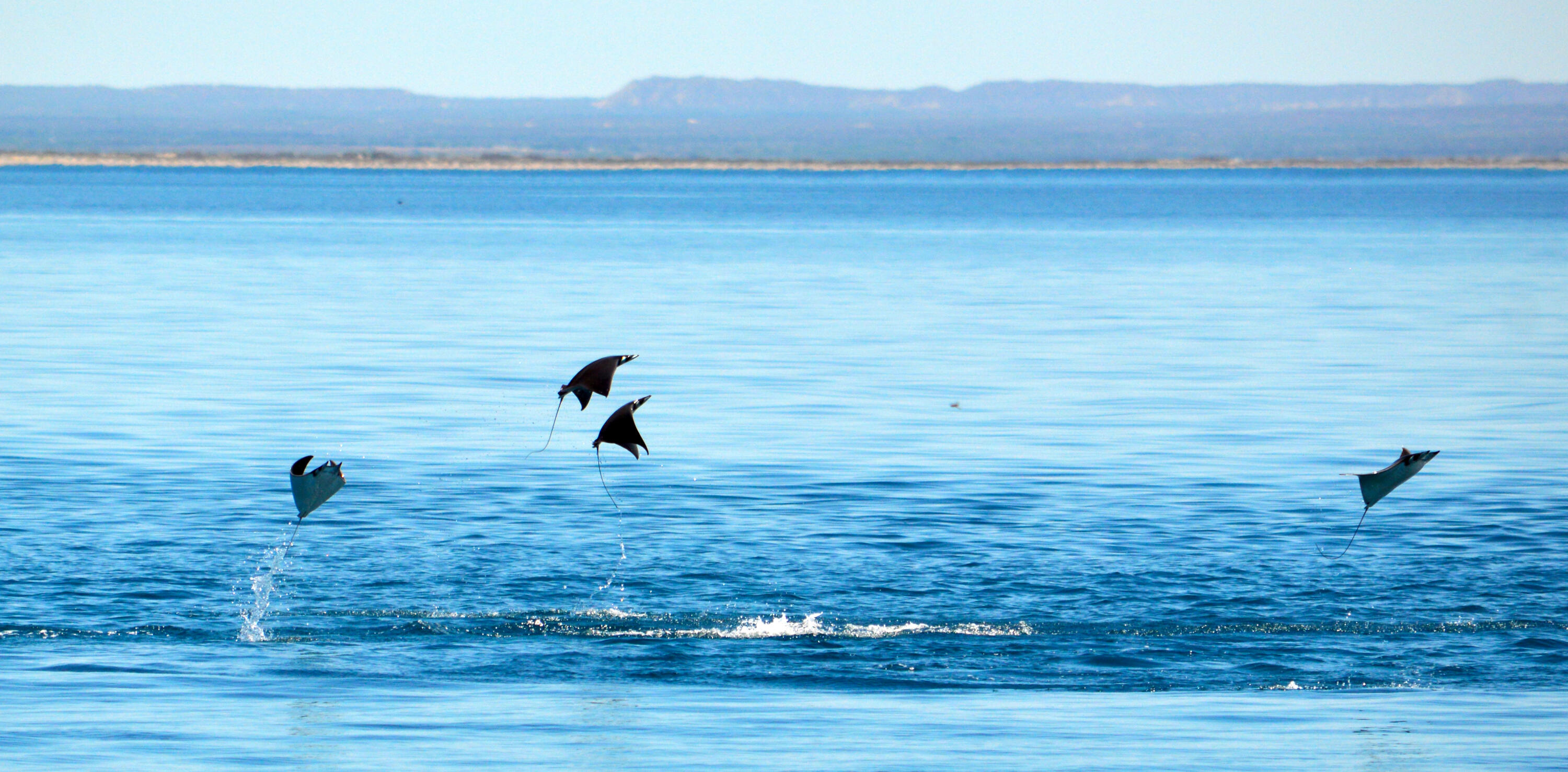 MLS #25-3210 image #66