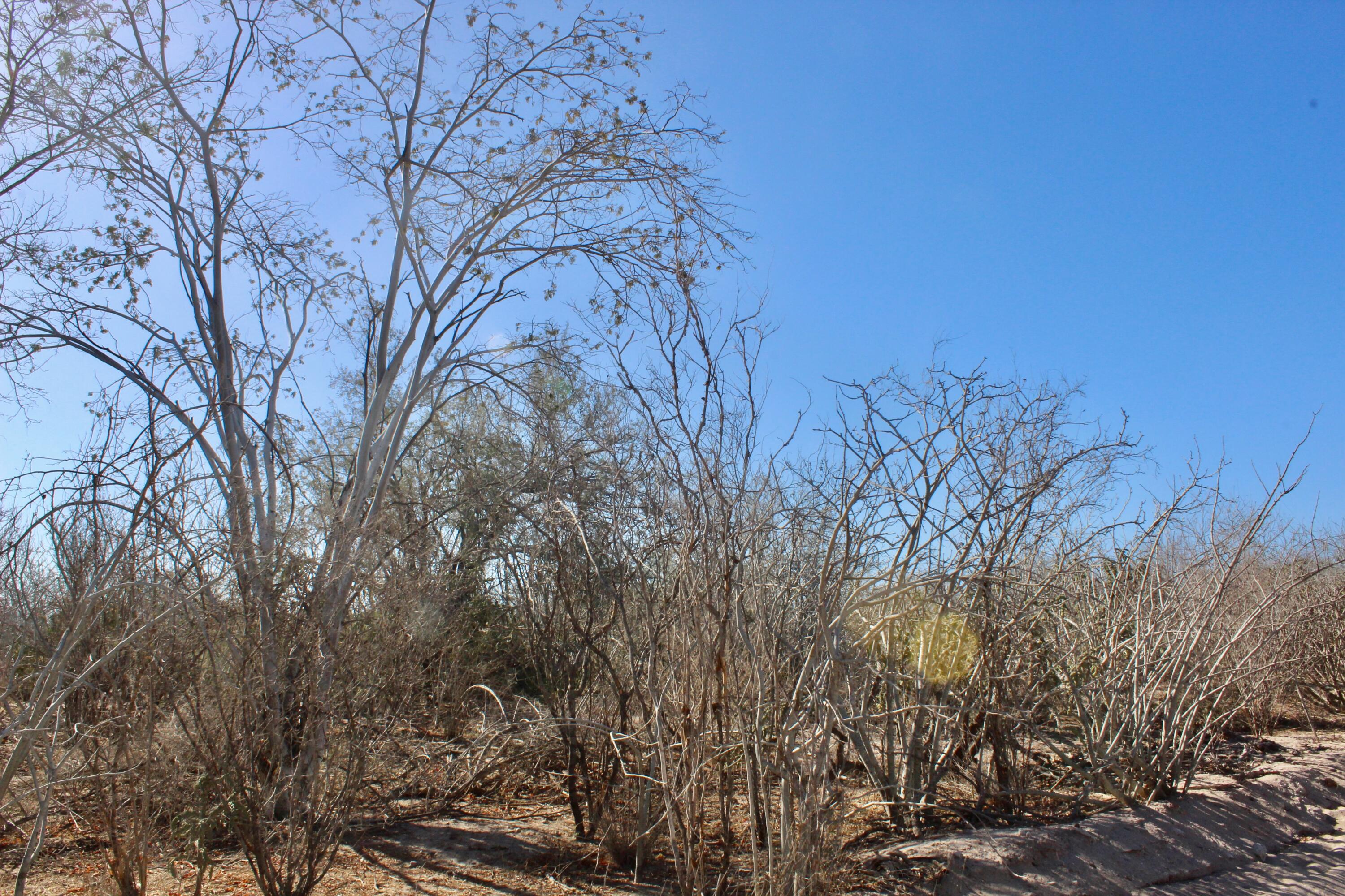 MLS #25-322 image #1