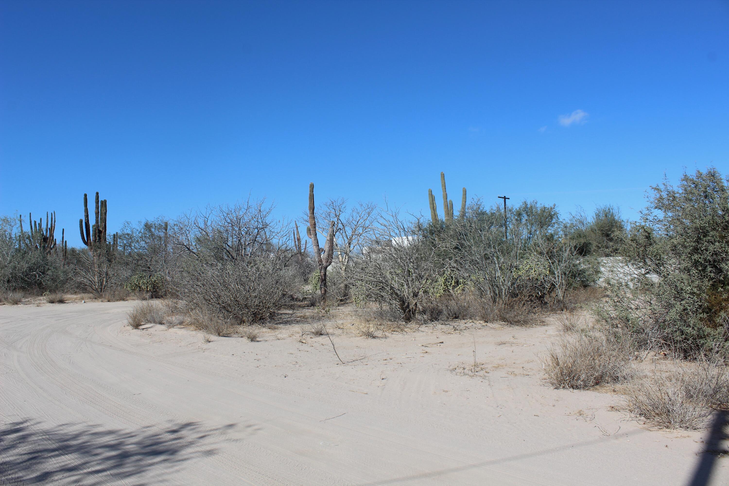 MLS #25-322 image #2