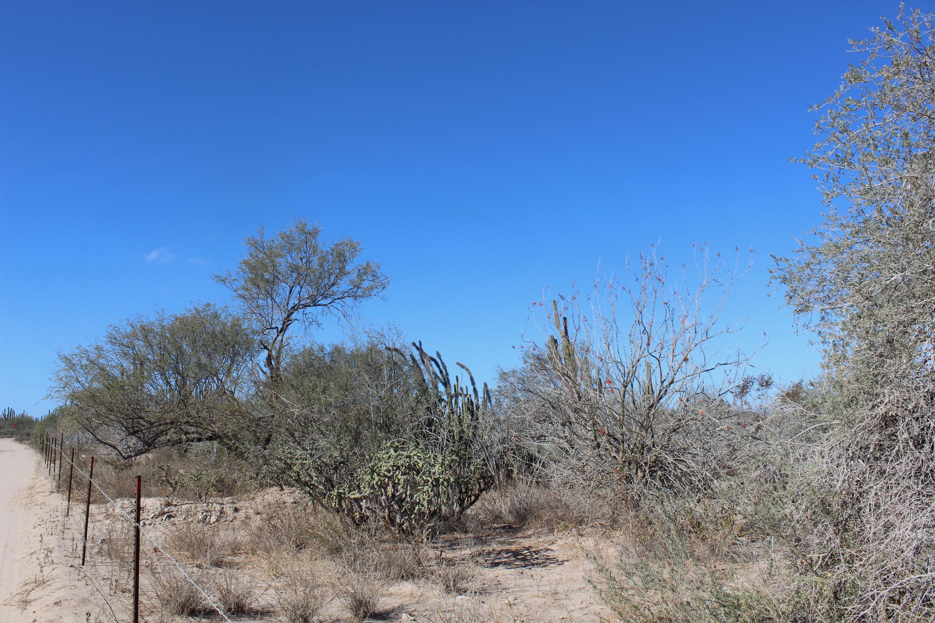 MLS #25-322 image #4