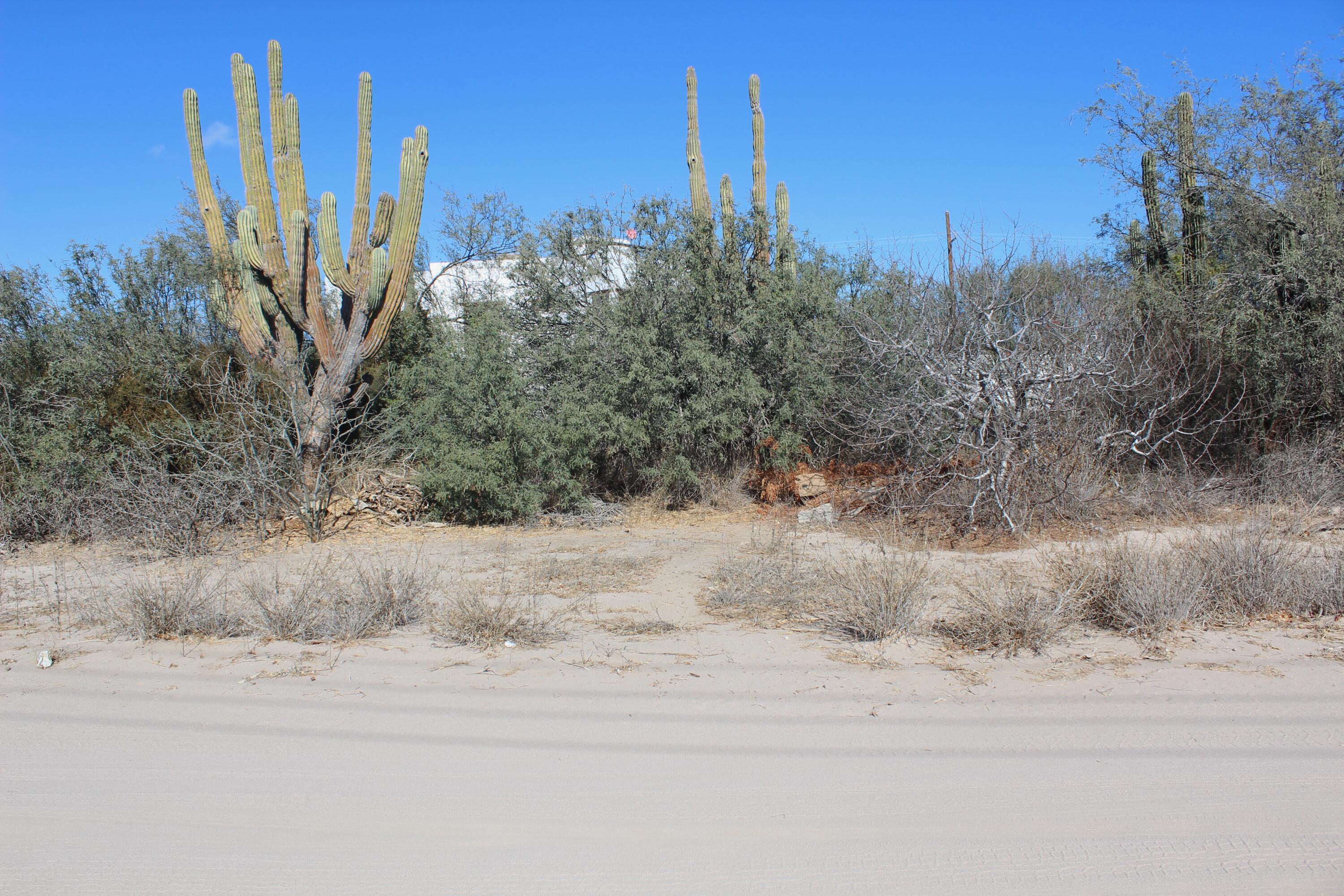 MLS #25-322 image #5