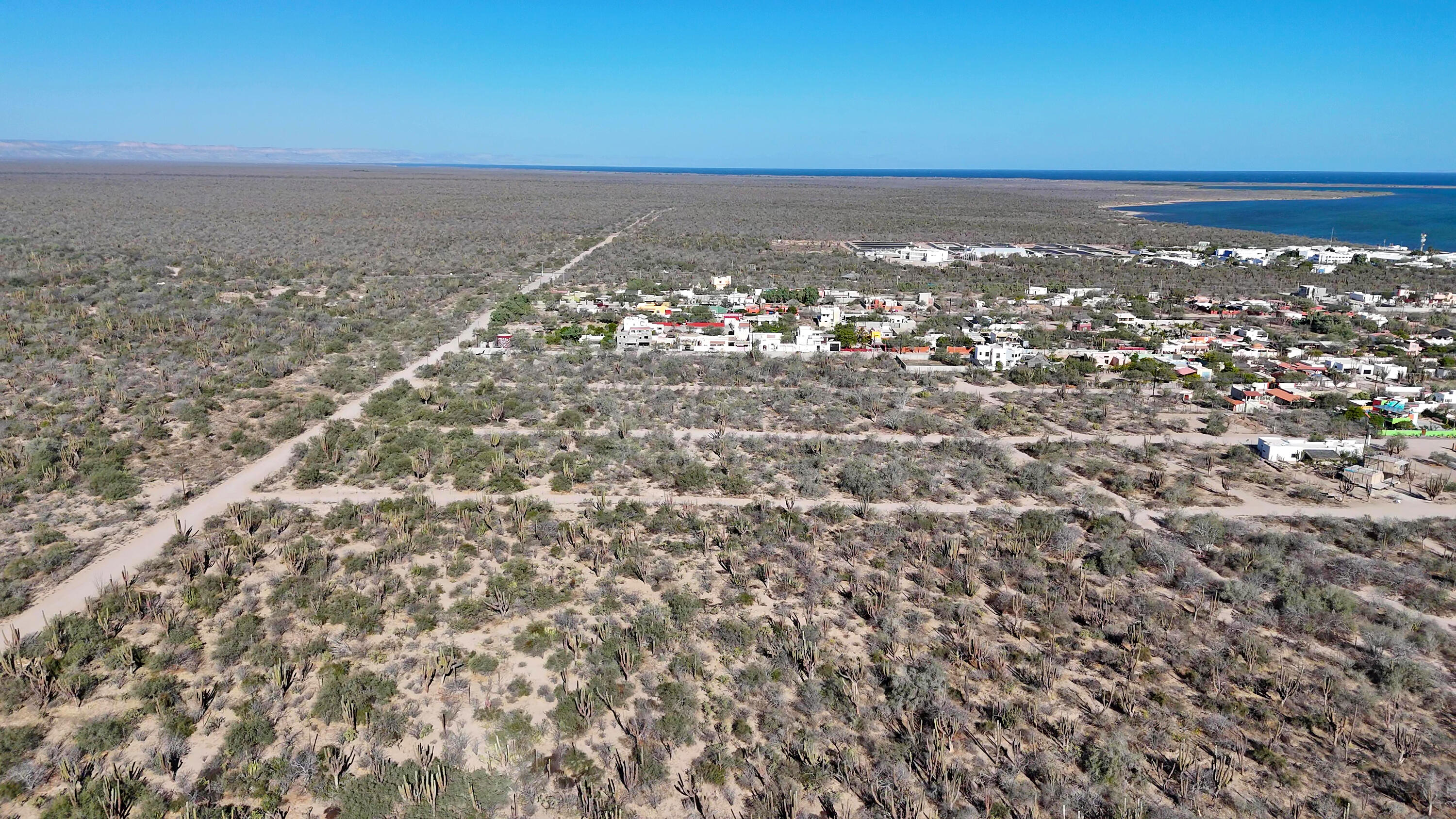 MLS #25-322 image #8