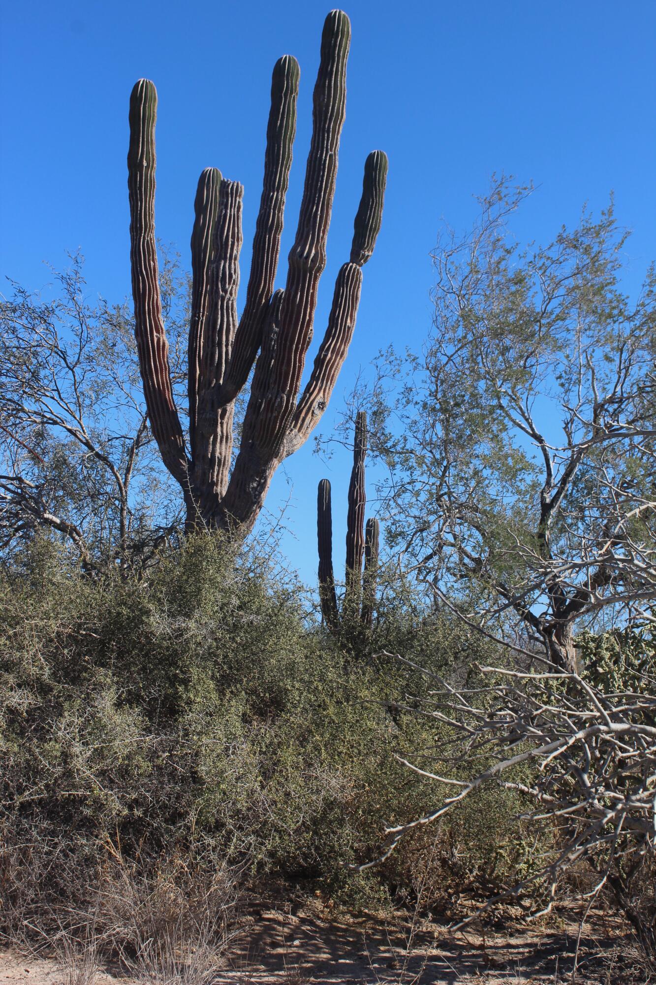 MLS #25-324 image #1