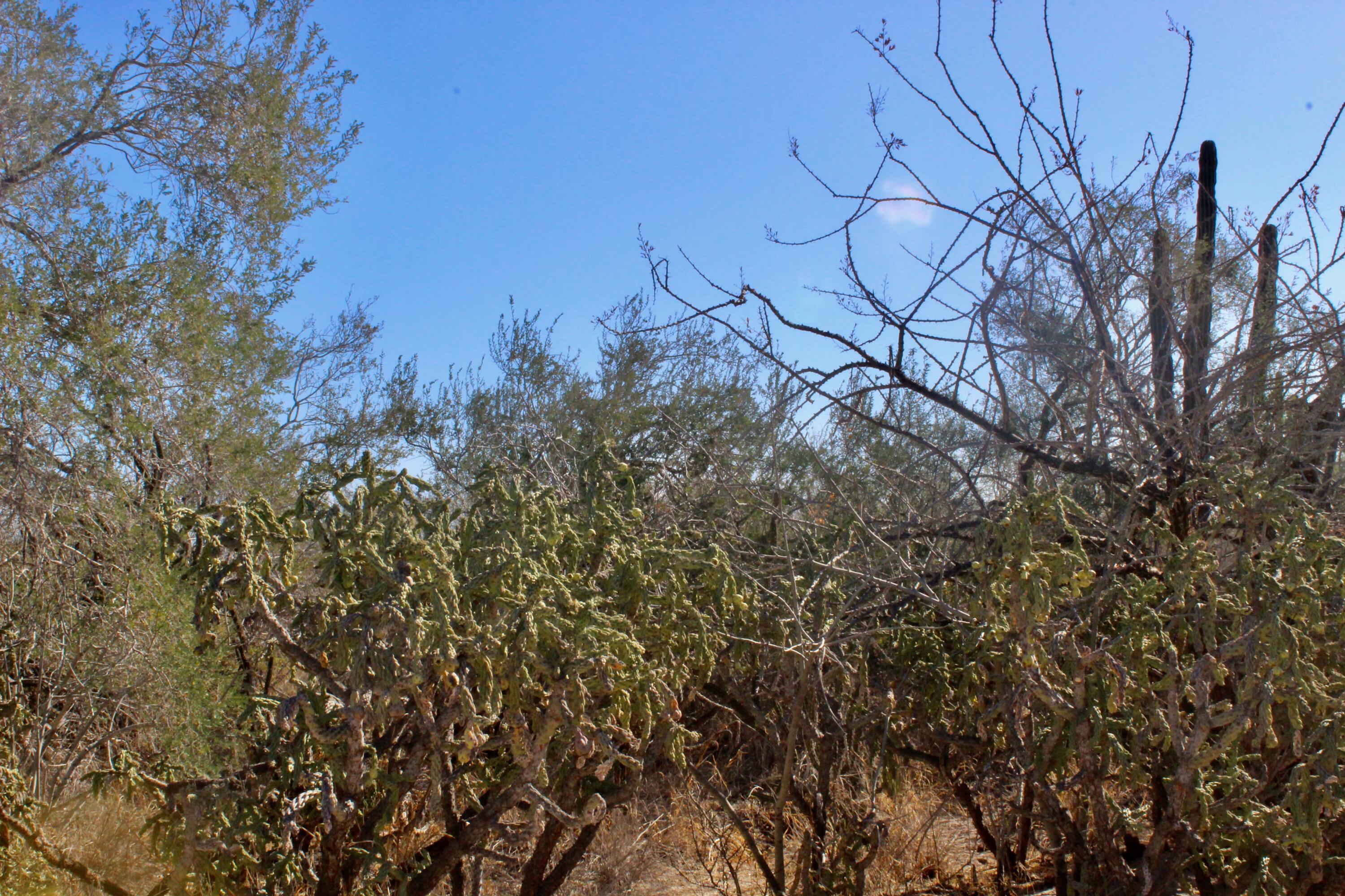 MLS #25-324 image #2