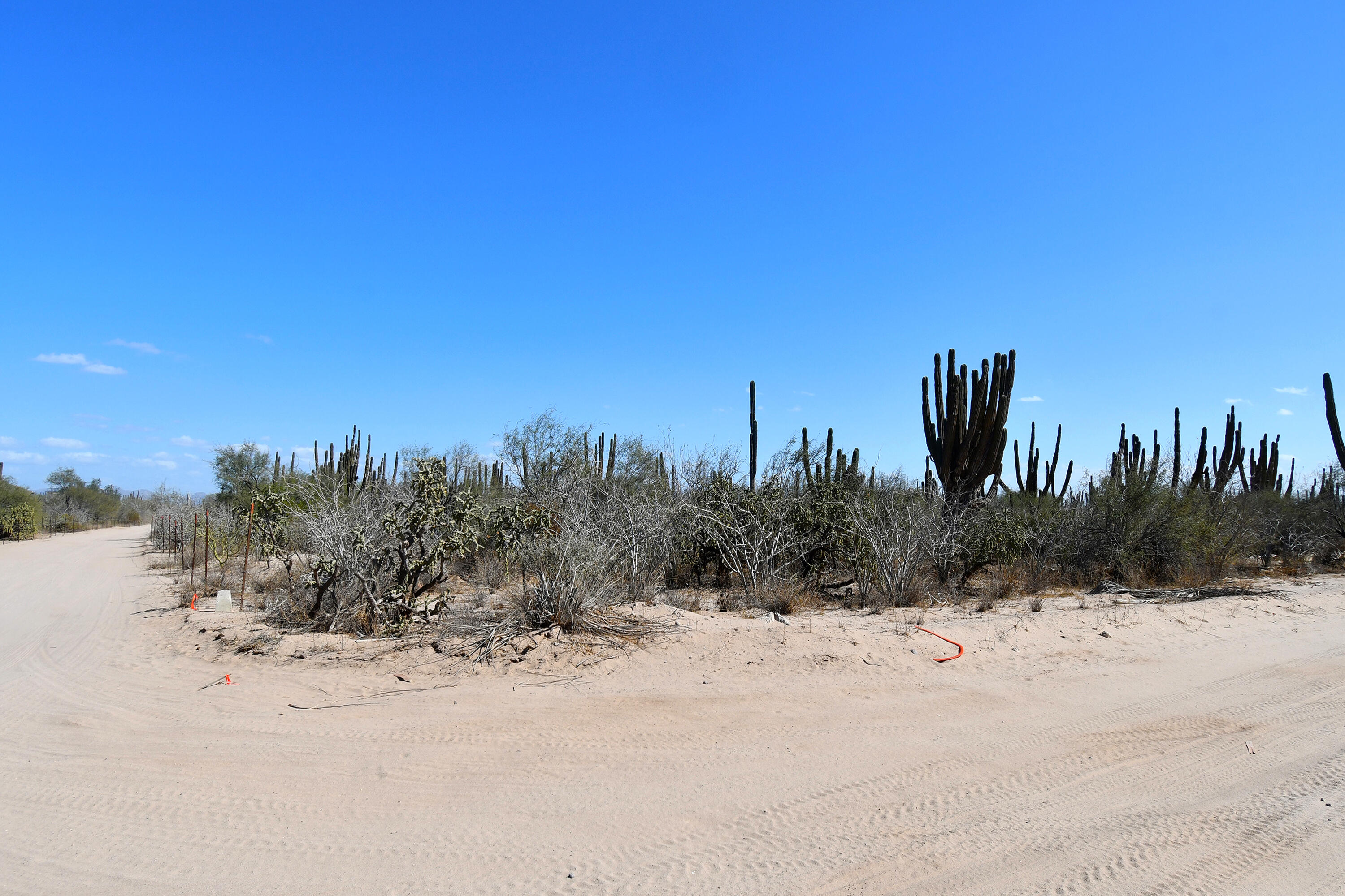 MLS #25-324 image #4