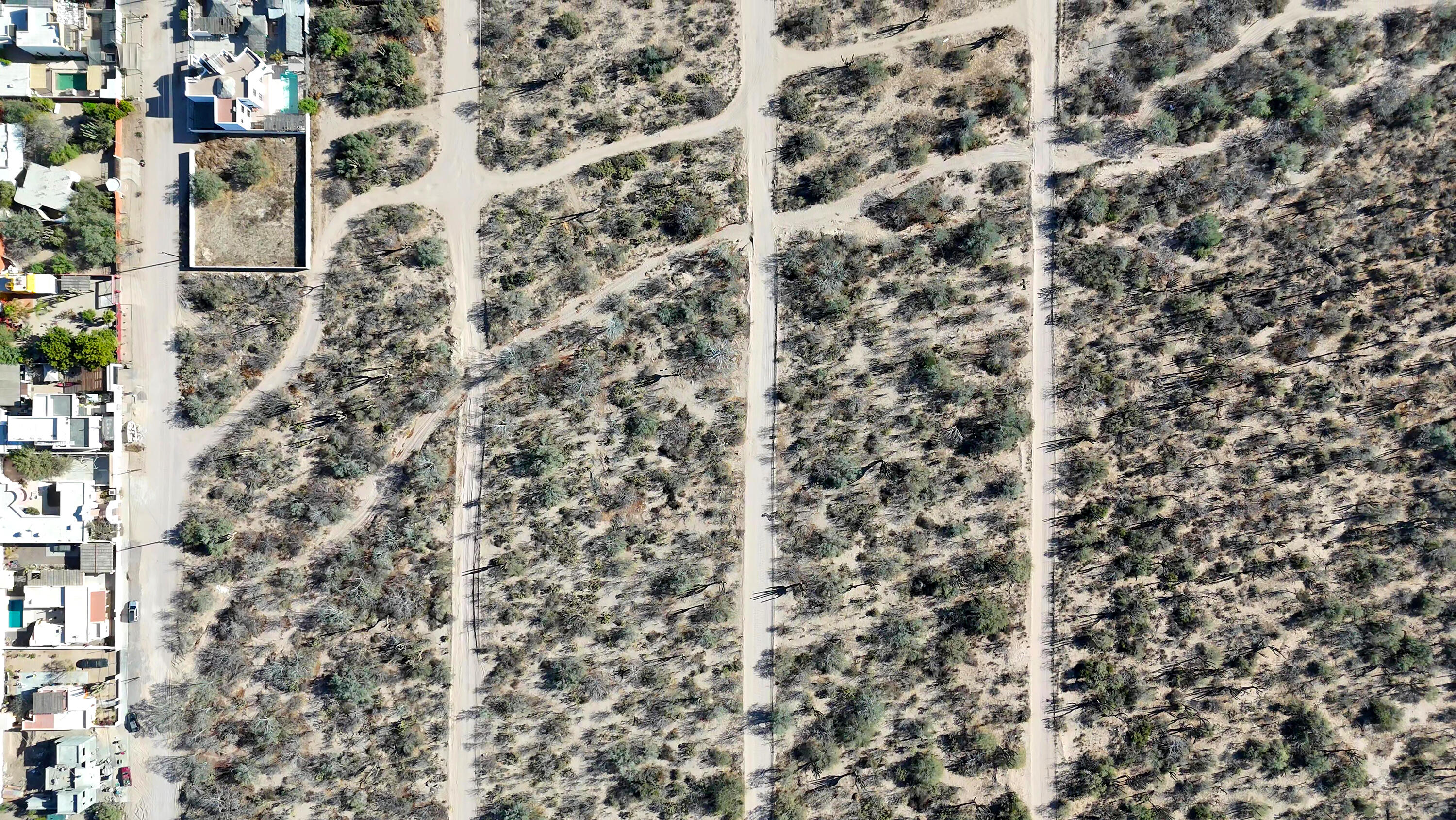 MLS #25-324 image #9