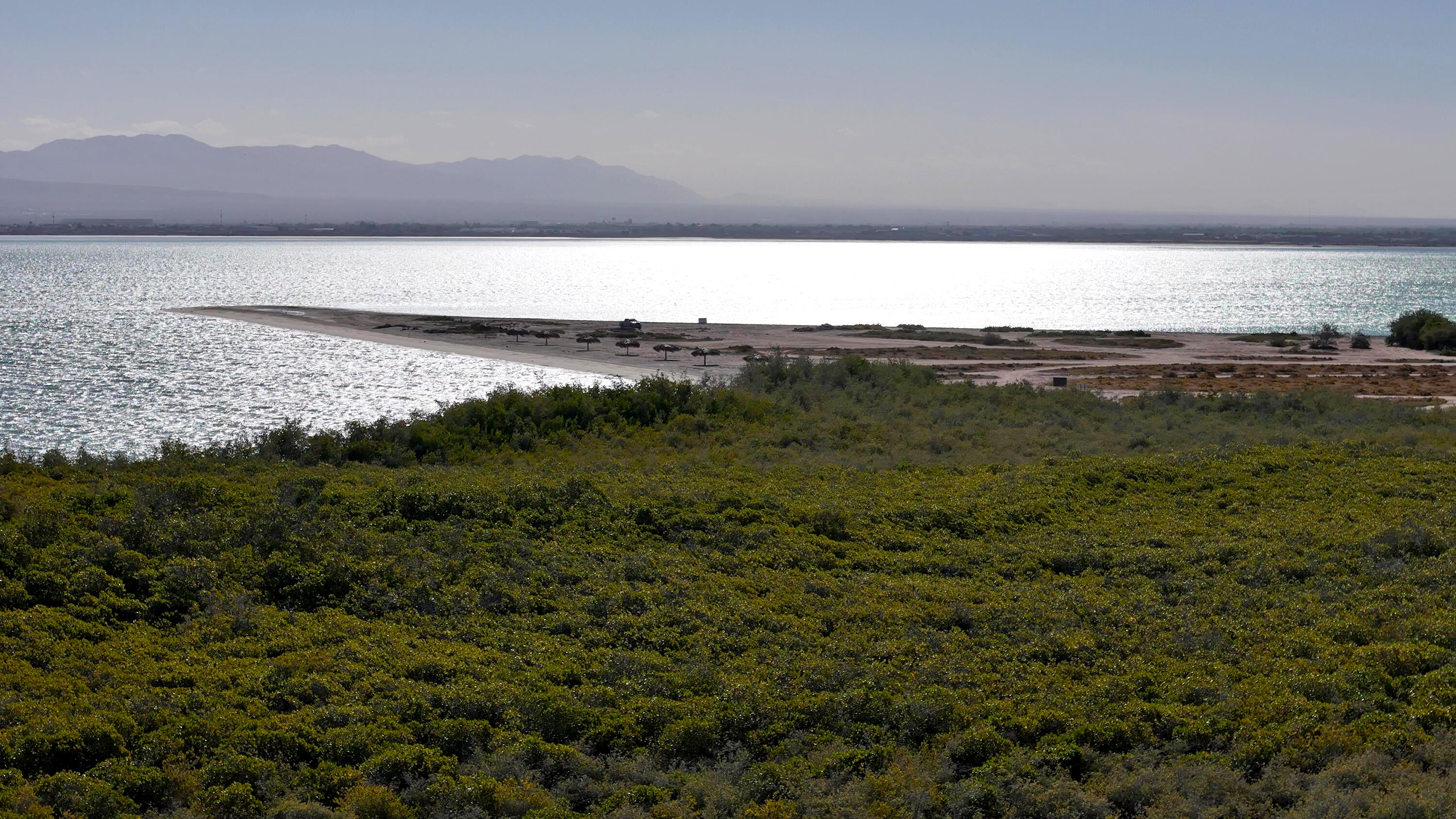 MLS #25-325 image #16