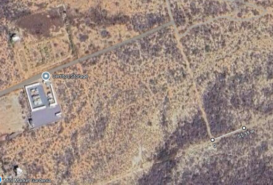 MLS #25-3254 image #13