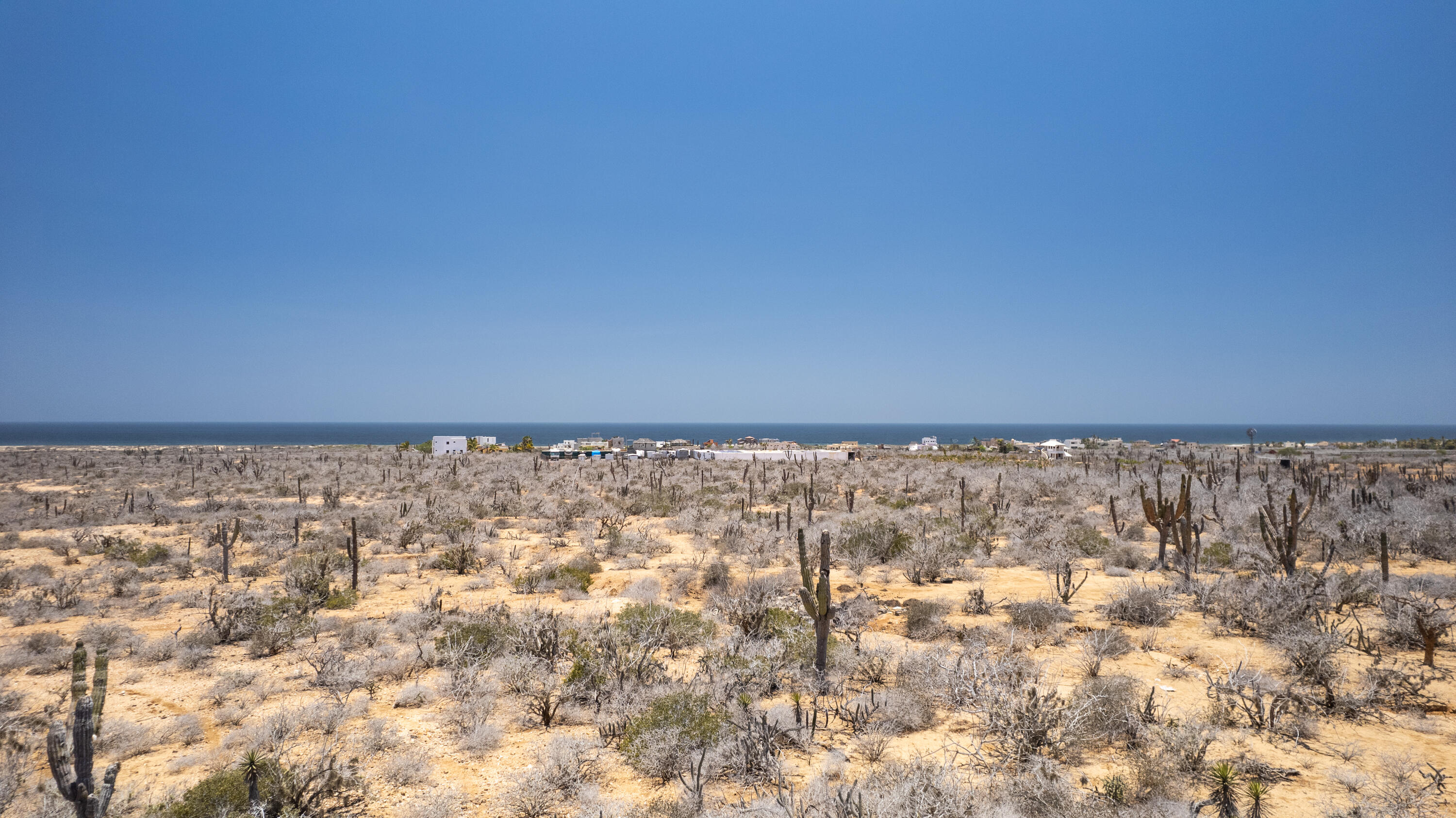 MLS #25-3254 image #29