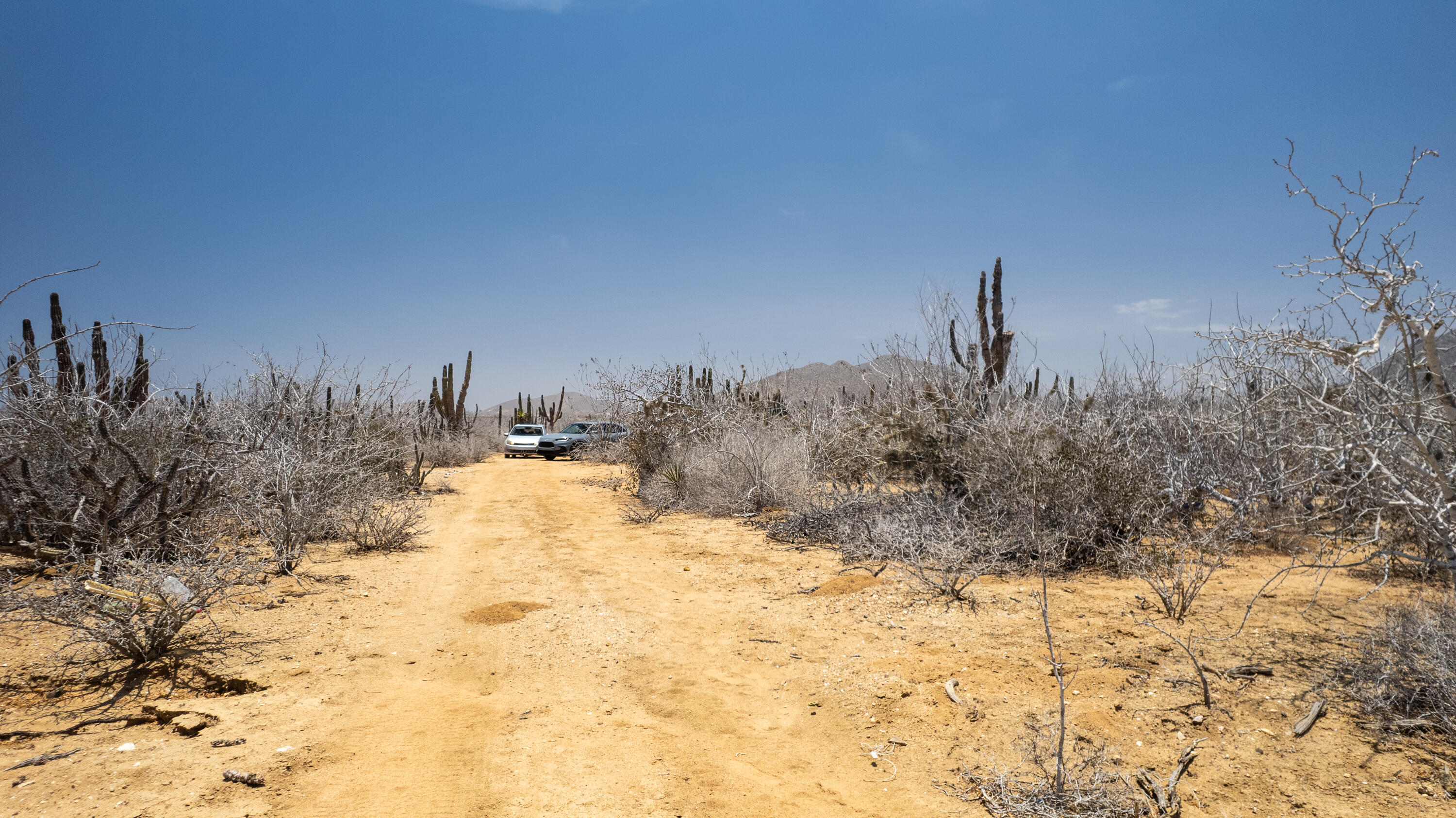 Cerritos Lot - Fraccion B Pacific BCS MLS #25-3254 47 MLS #25-3254 image #6