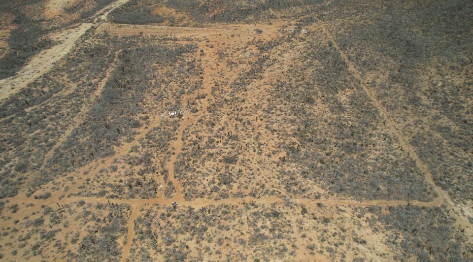 MLS #25-3255 image #10