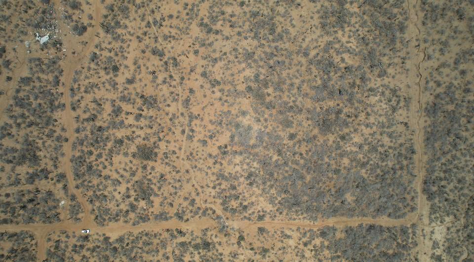 MLS #25-3255 image #11