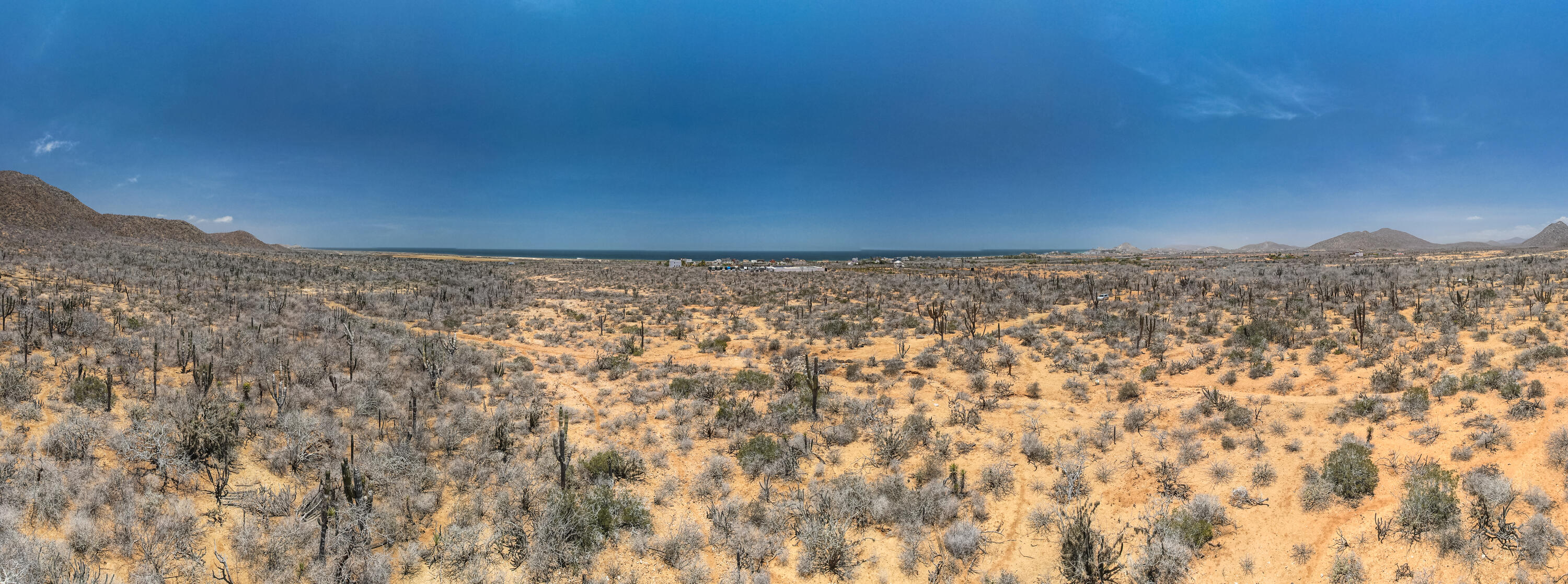 MLS #25-3255 image #30