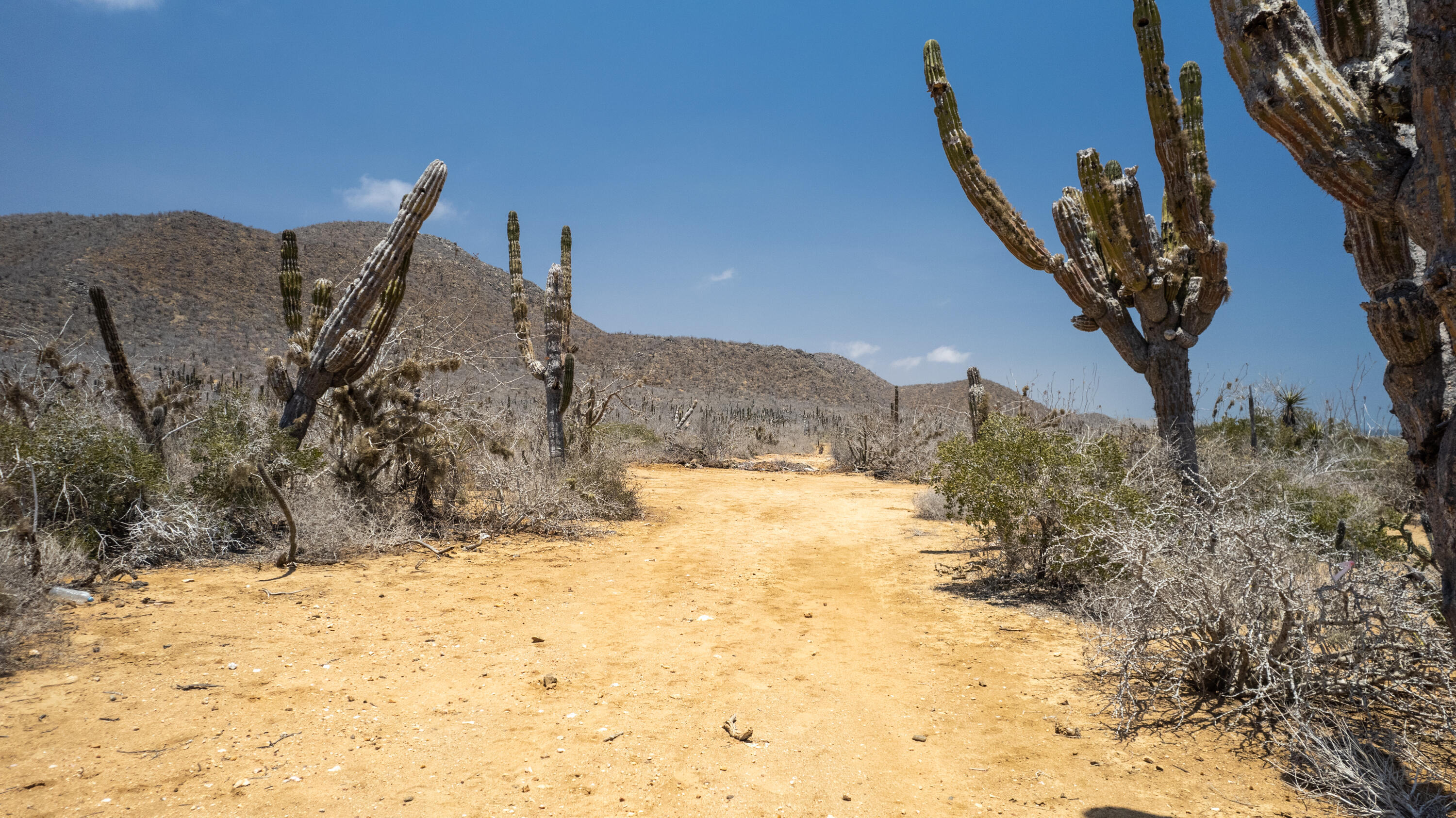 Cerritos Lot - Fraccion D Pacific BCS MLS #25-3256 45 MLS #25-3256 image #4