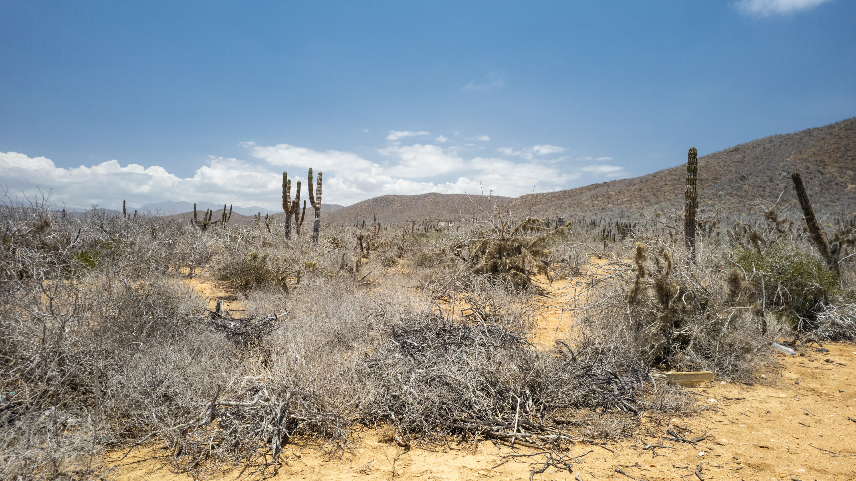 Cerritos Lot - Fraccion D Pacific BCS MLS #25-3256 46 MLS #25-3256 image #5