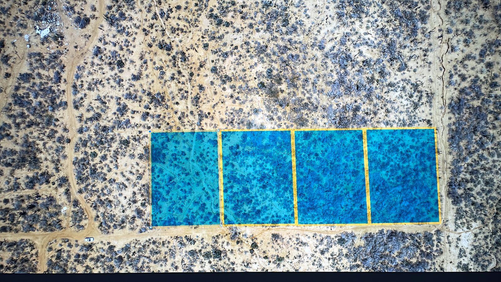 MLS #25-3256 image #7