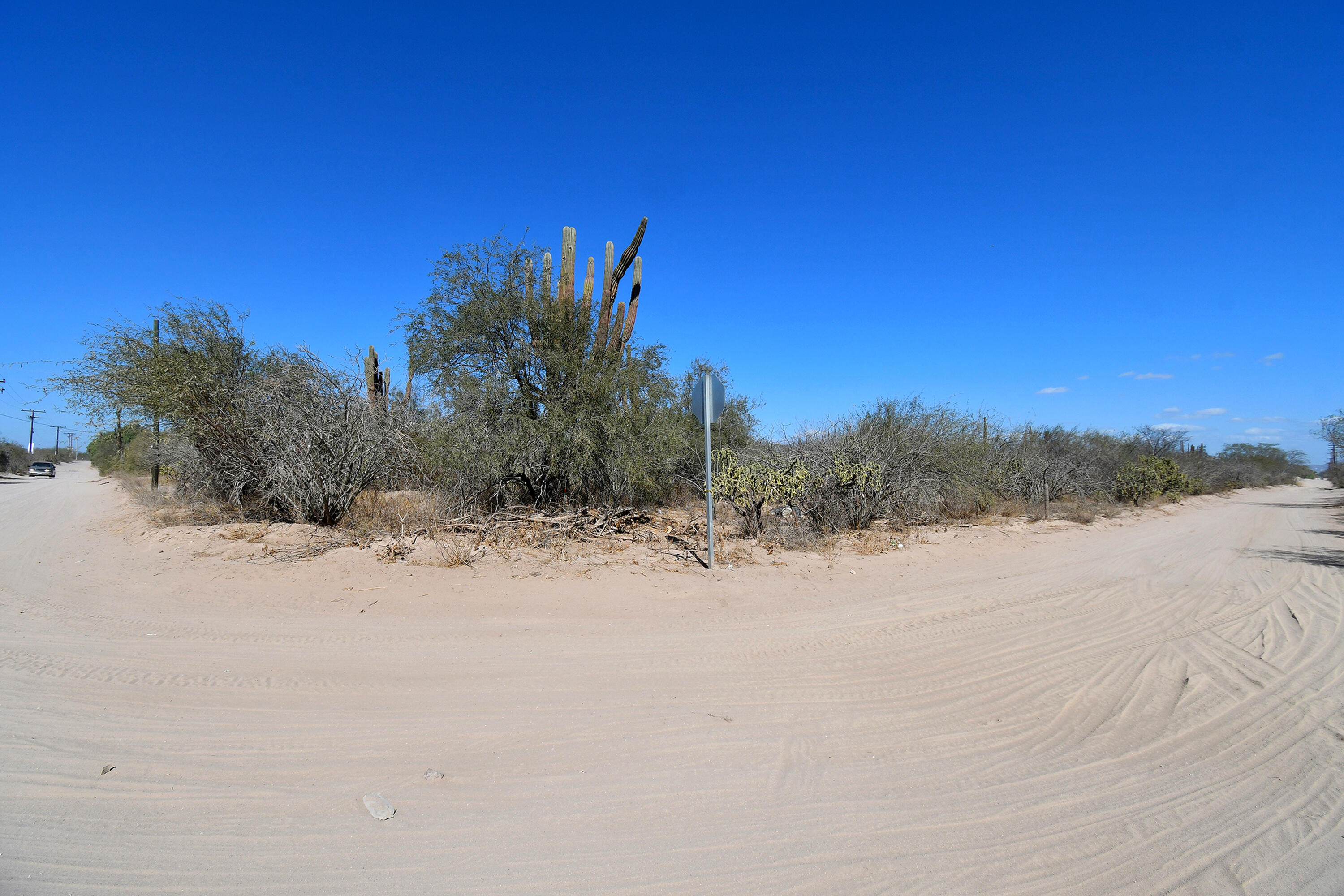 MLS #25-326 image #1