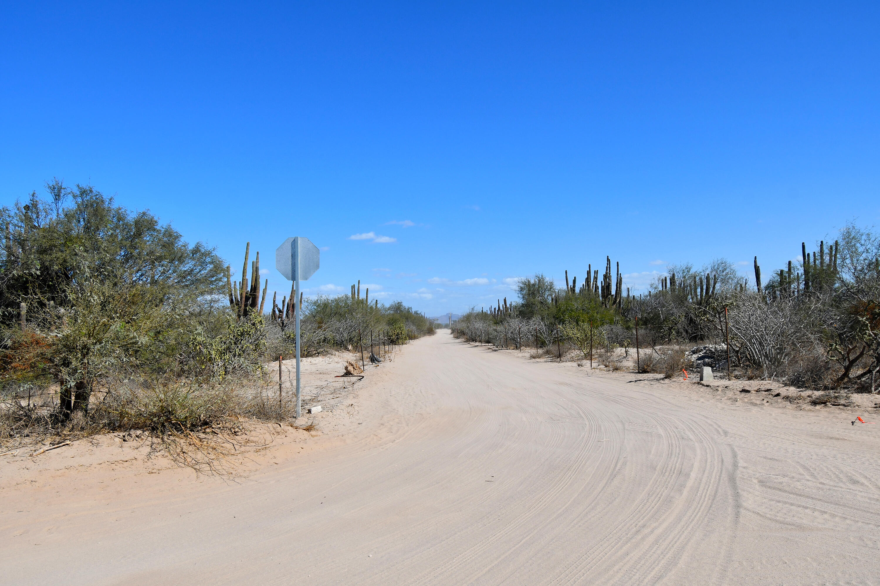 MLS #25-326 image #3