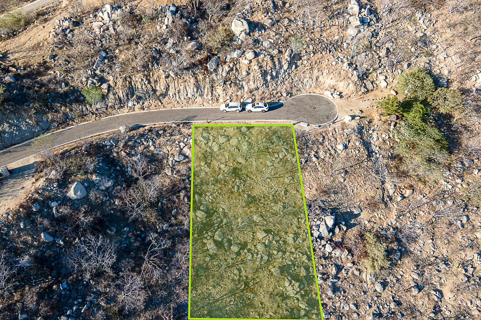 MLS #25-3264 image #7