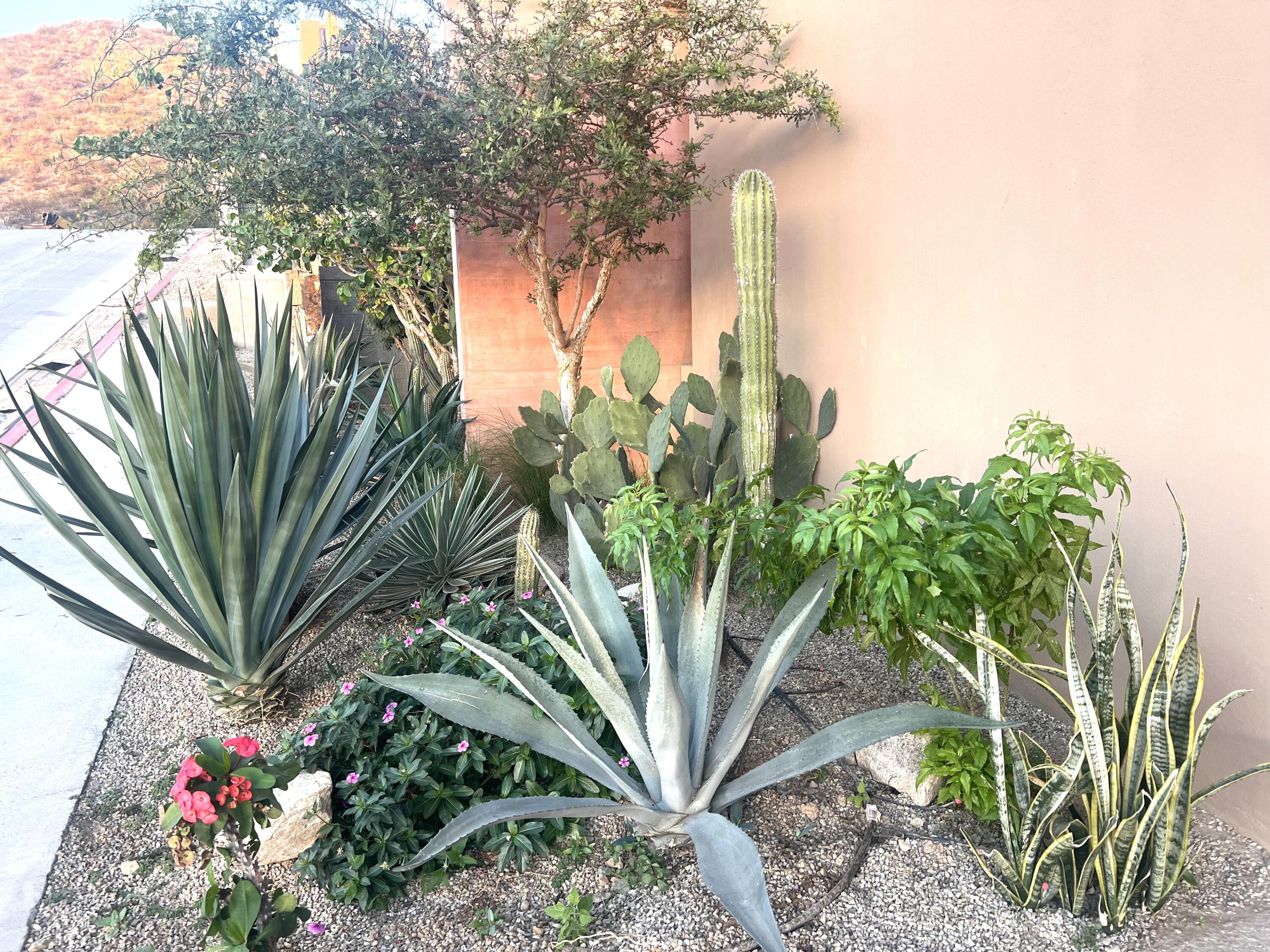 MLS #25-328 image #10