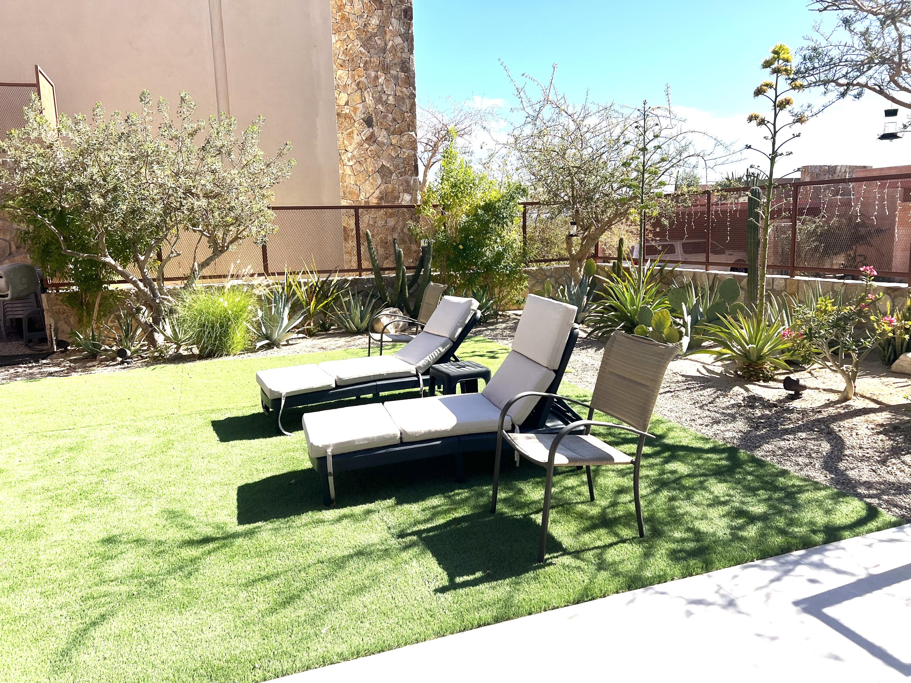 MLS #25-328 image #13