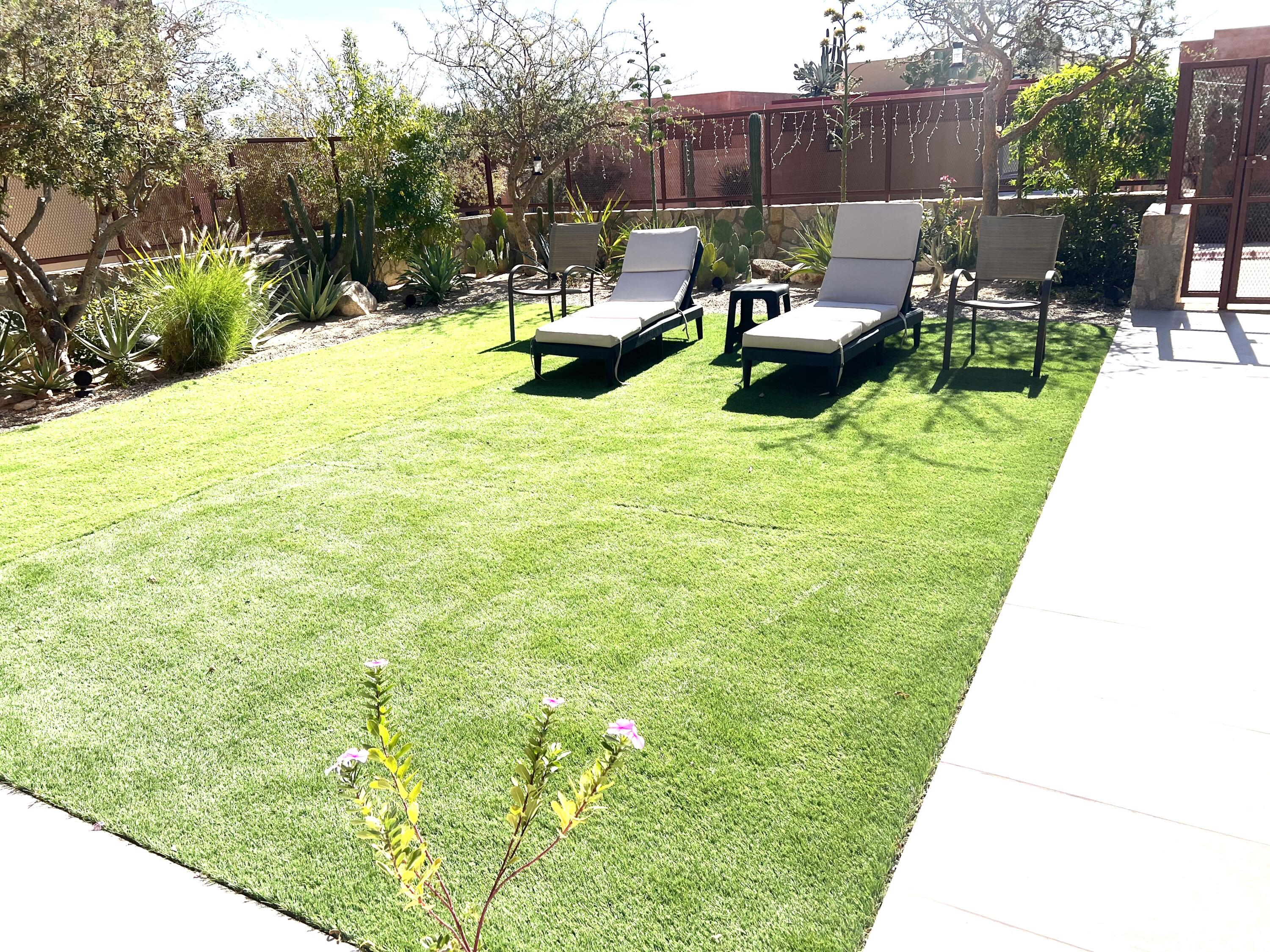 MLS #25-328 image #15